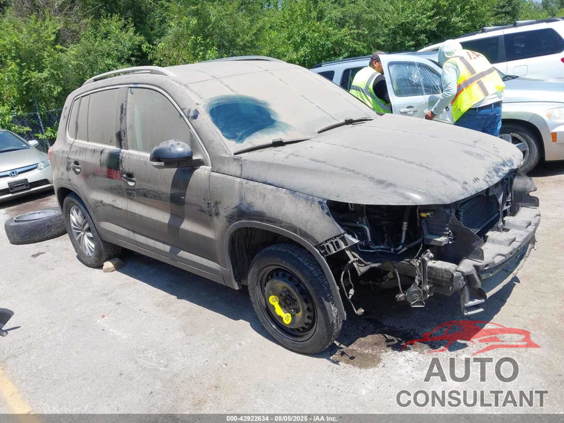 VOLKSWAGEN TIGUAN 2009 - WVGAV75N29W502193