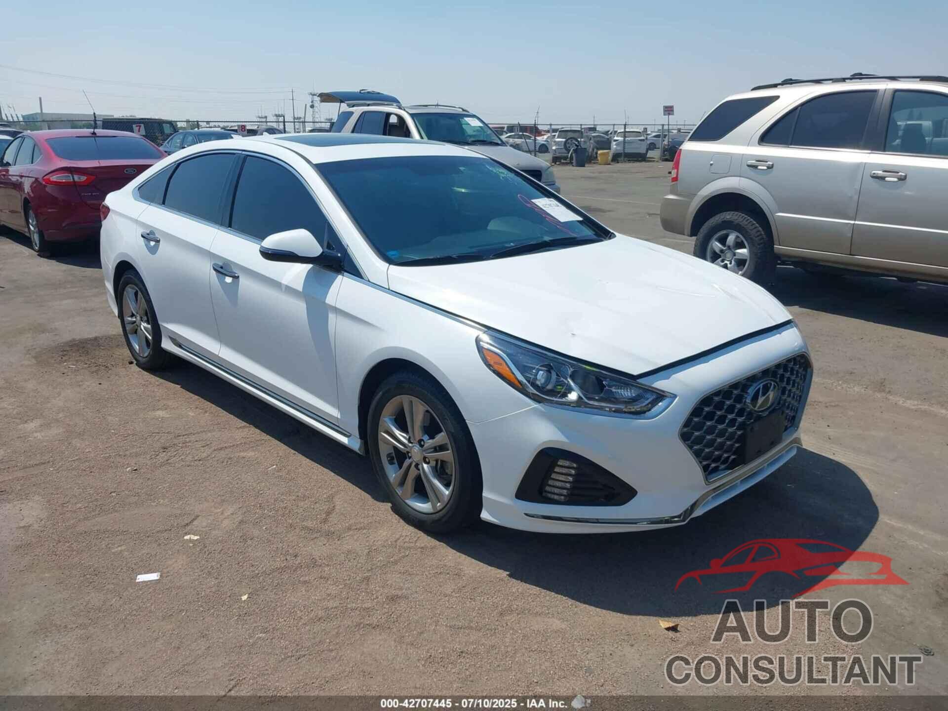 HYUNDAI SONATA 2019 - 5NPE34AF3KH821199