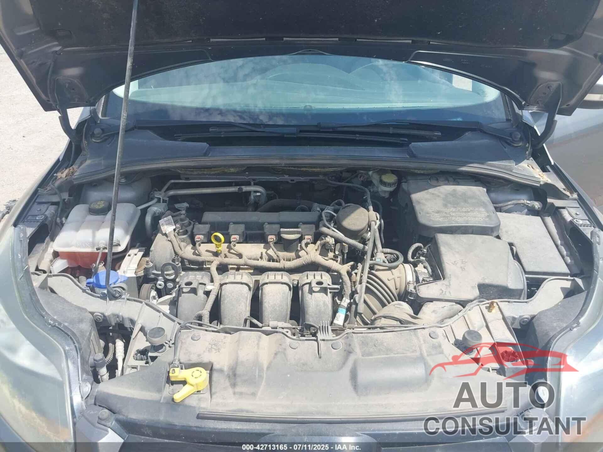 FORD FOCUS 2014 - 1FADP3N25EL224160