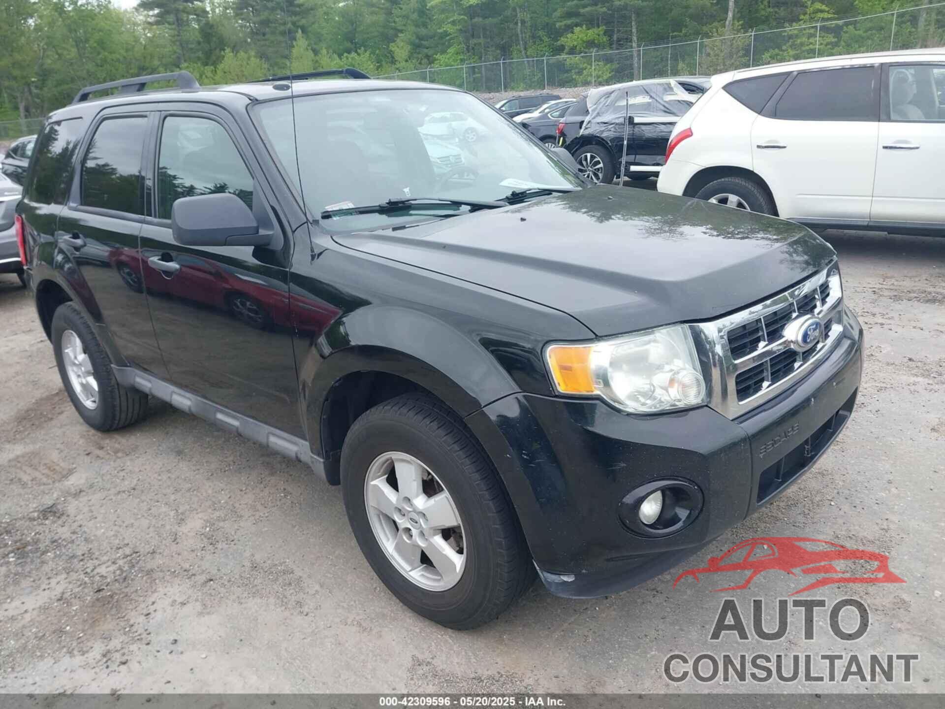 FORD ESCAPE 2010 - 1FMCU0D79AKB11463