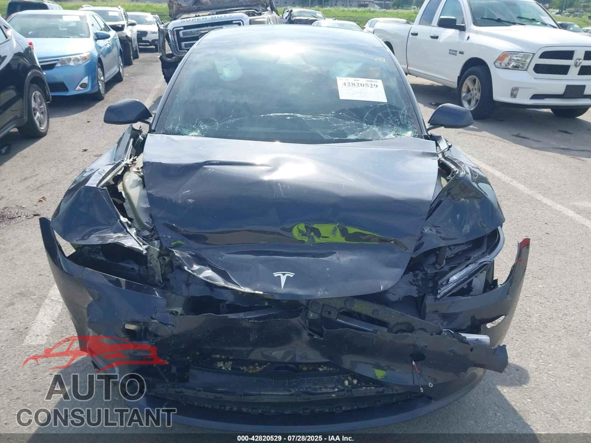 TESLA MODEL 3 2025 - 5YJ3E1EA2SF981717