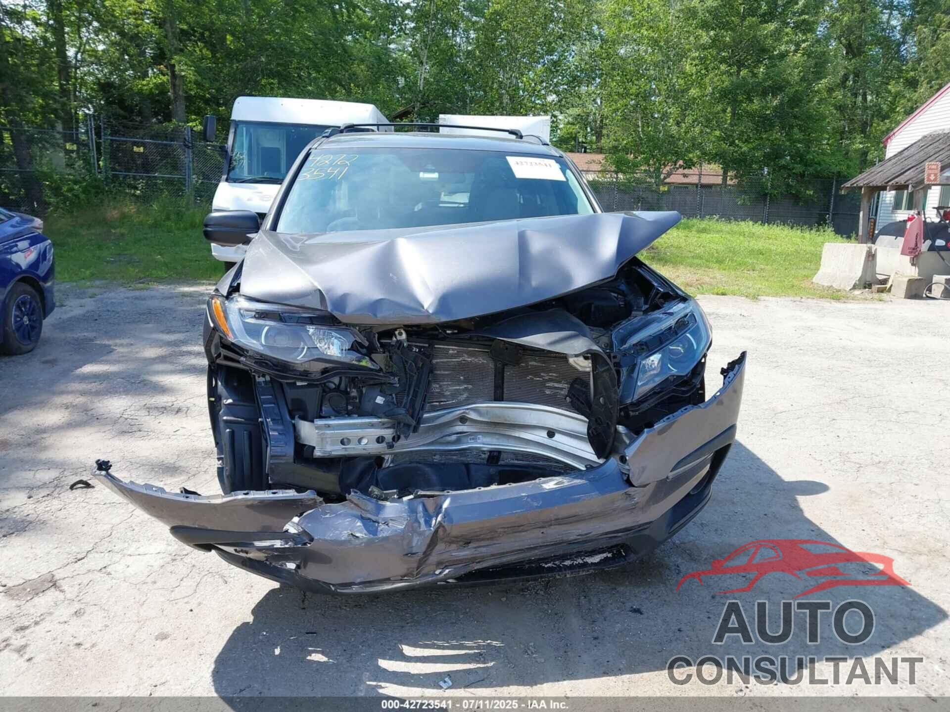 HONDA PILOT 2019 - 5FNYF6H15KB056957