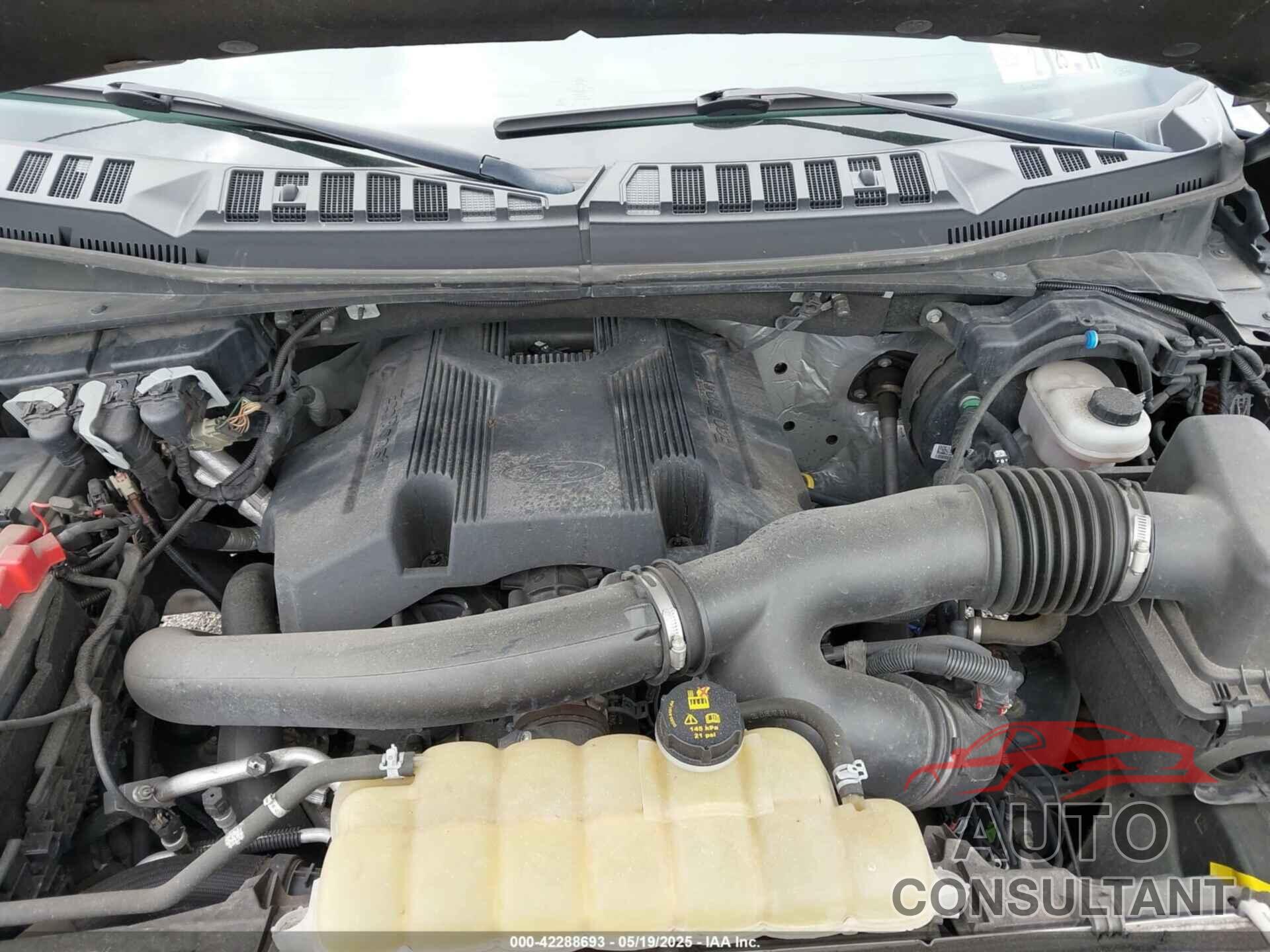 FORD F-150 2020 - 1FTEW1E40LKD04699