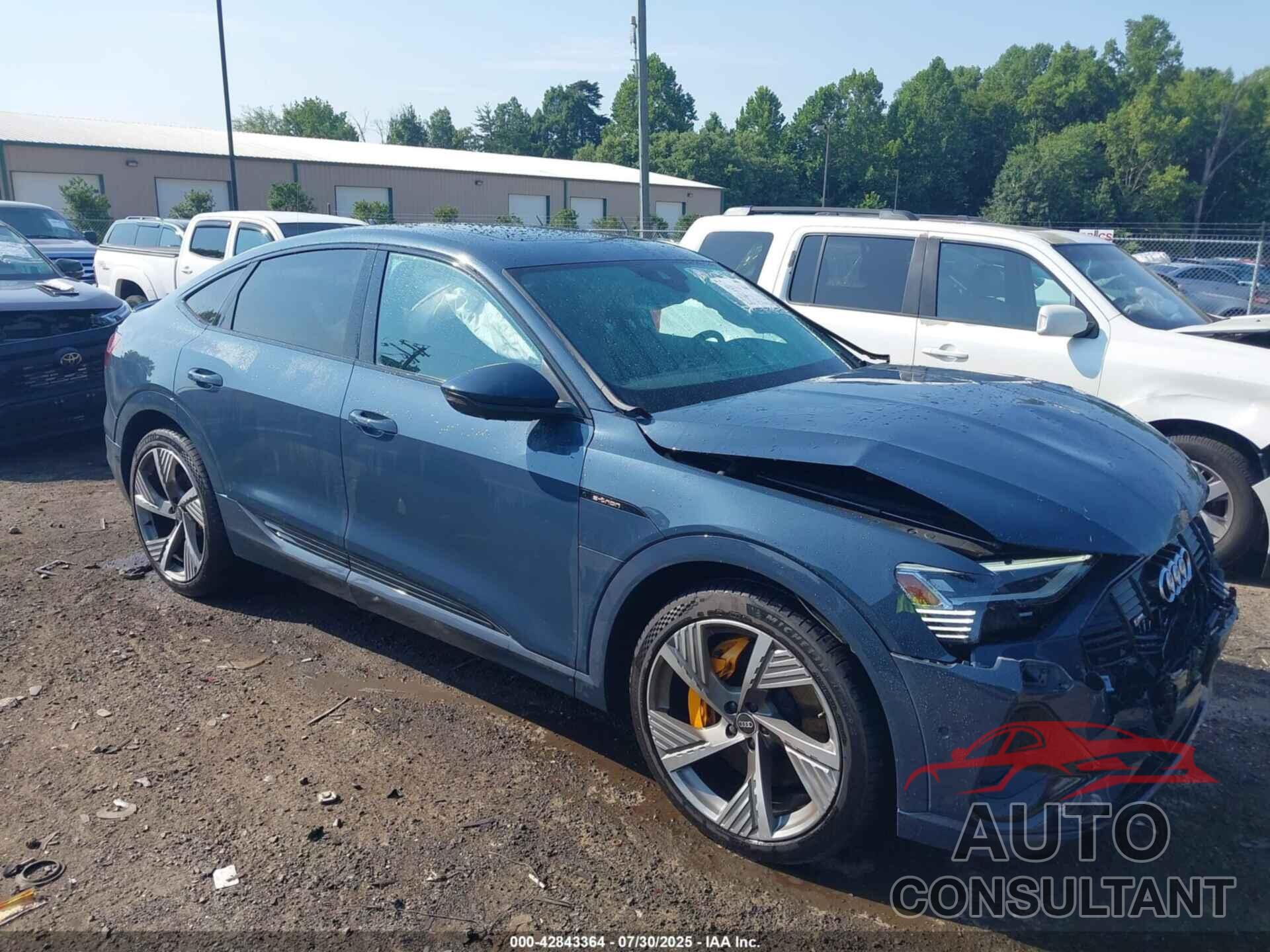 AUDI E-TRON SPORTBACK 2022 - WA13AAGE7NB010449