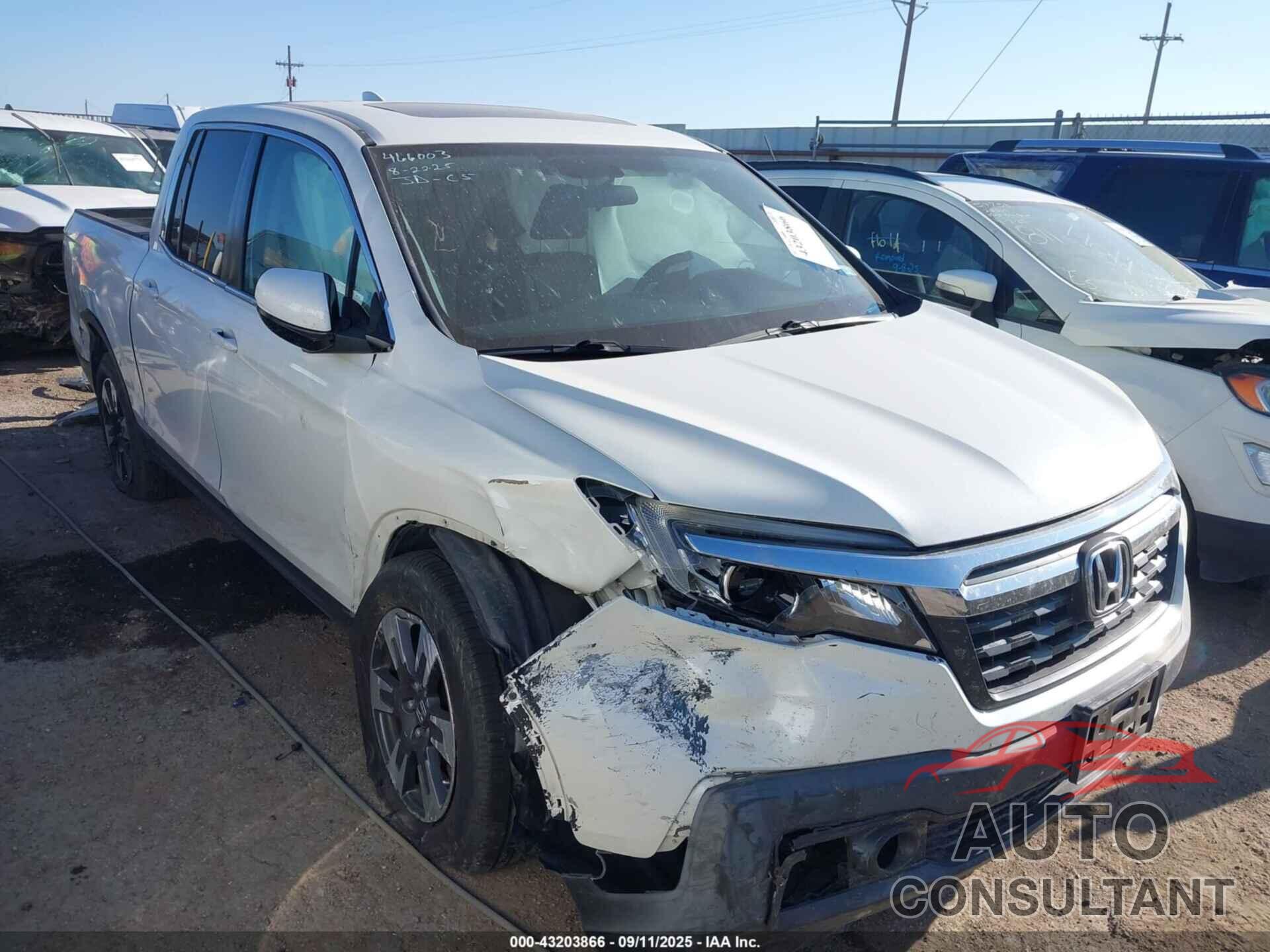 HONDA RIDGELINE 2019 - 5FPYK2F52KB004431