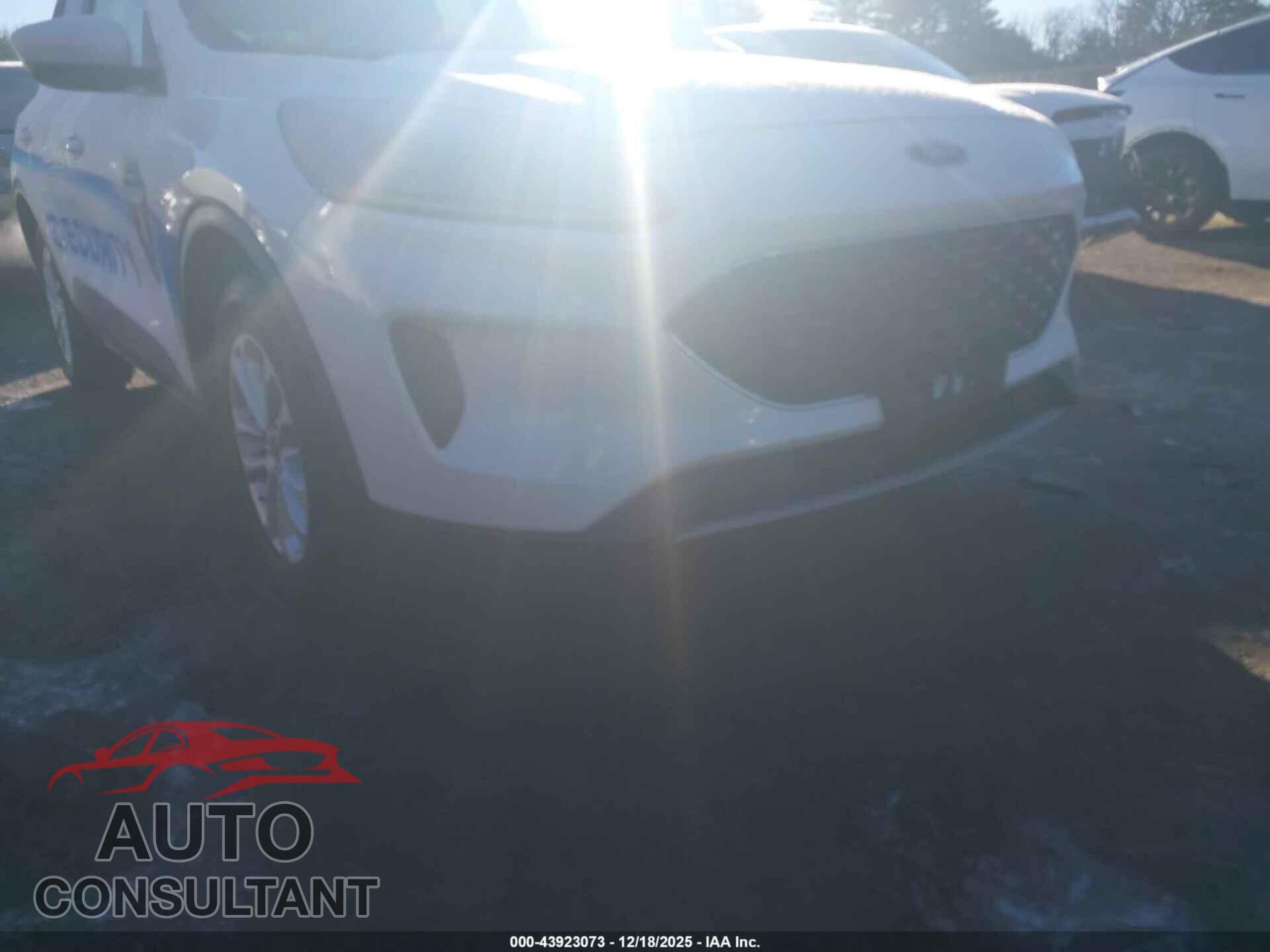 FORD ESCAPE 2020 - 1FMCU9G61LUA33663