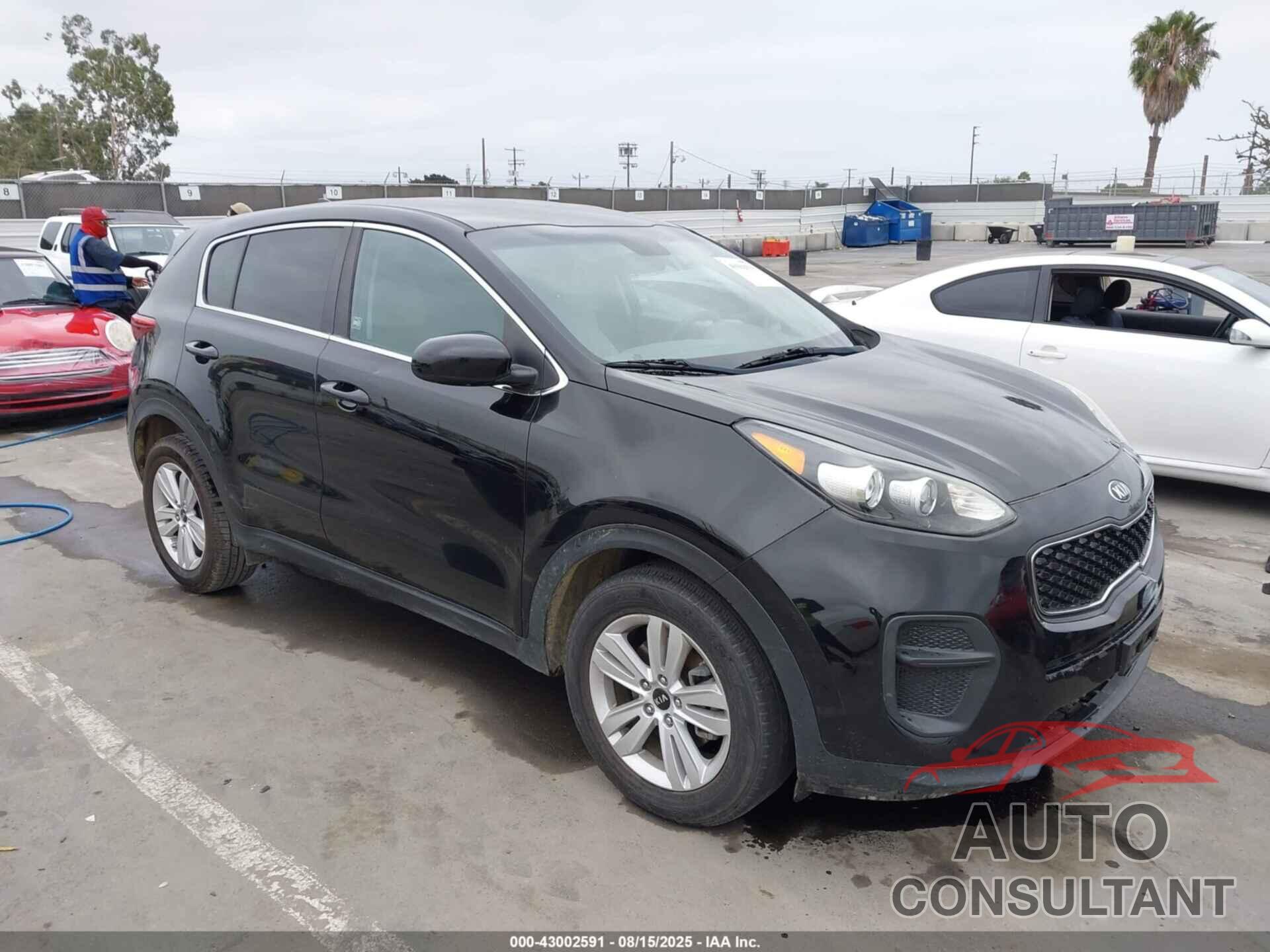 KIA SPORTAGE 2017 - KNDPM3ACXH7102437