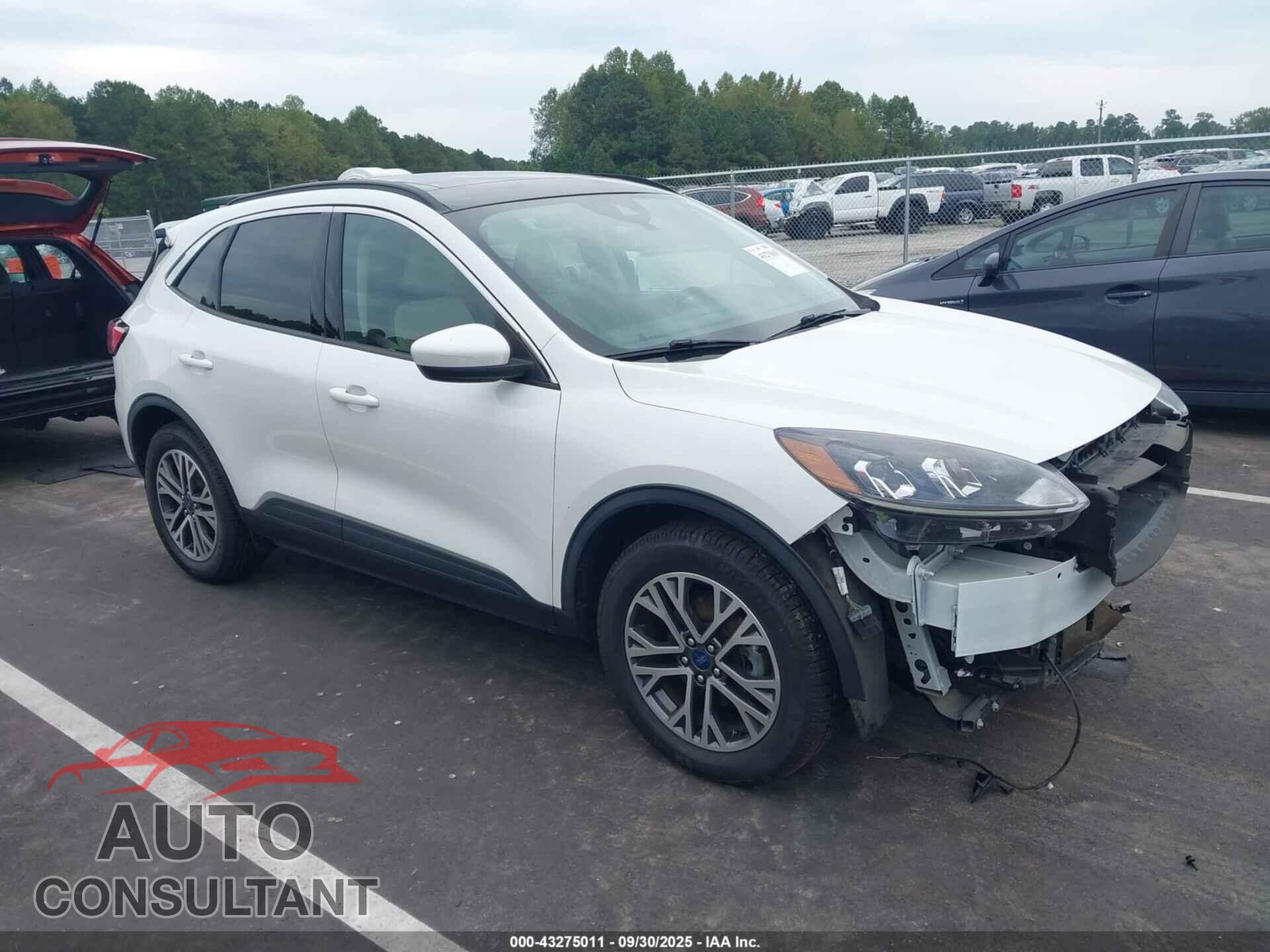 FORD ESCAPE 2020 - 1FMCU9H61LUA95062