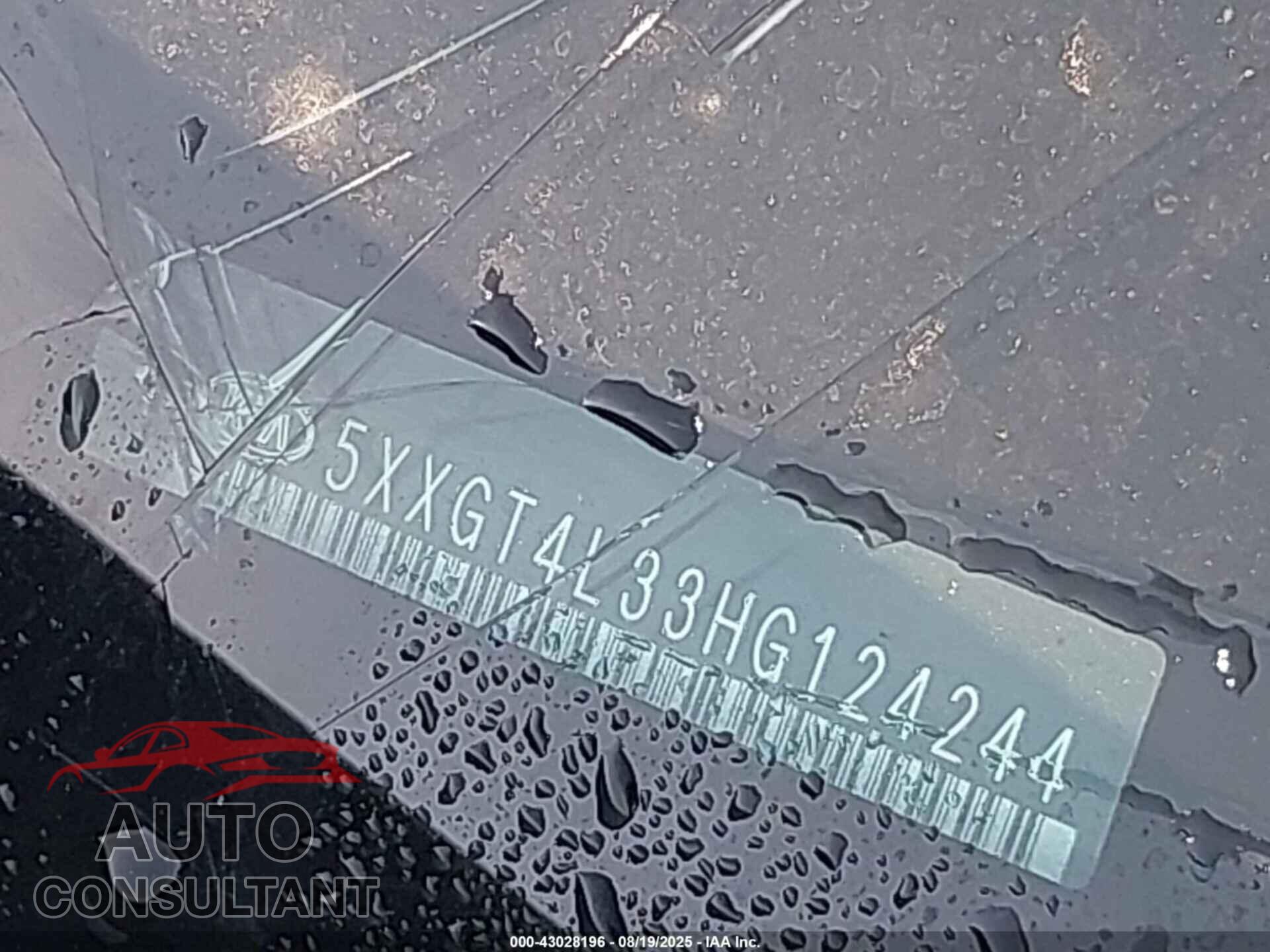 KIA OPTIMA 2017 - 5XXGT4L33HG124244
