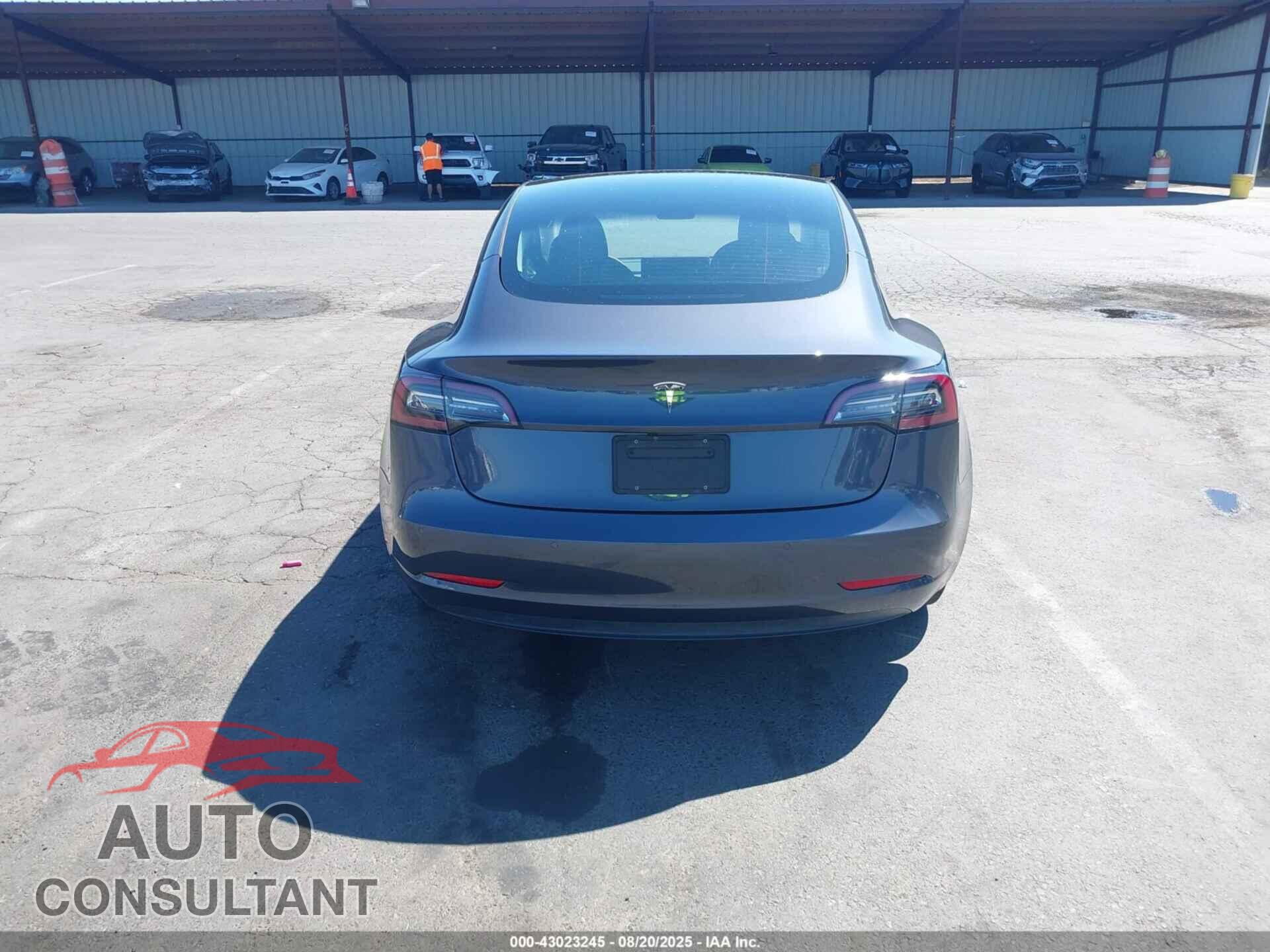 TESLA MODEL 3 2021 - 5YJ3E1EA8MF974161