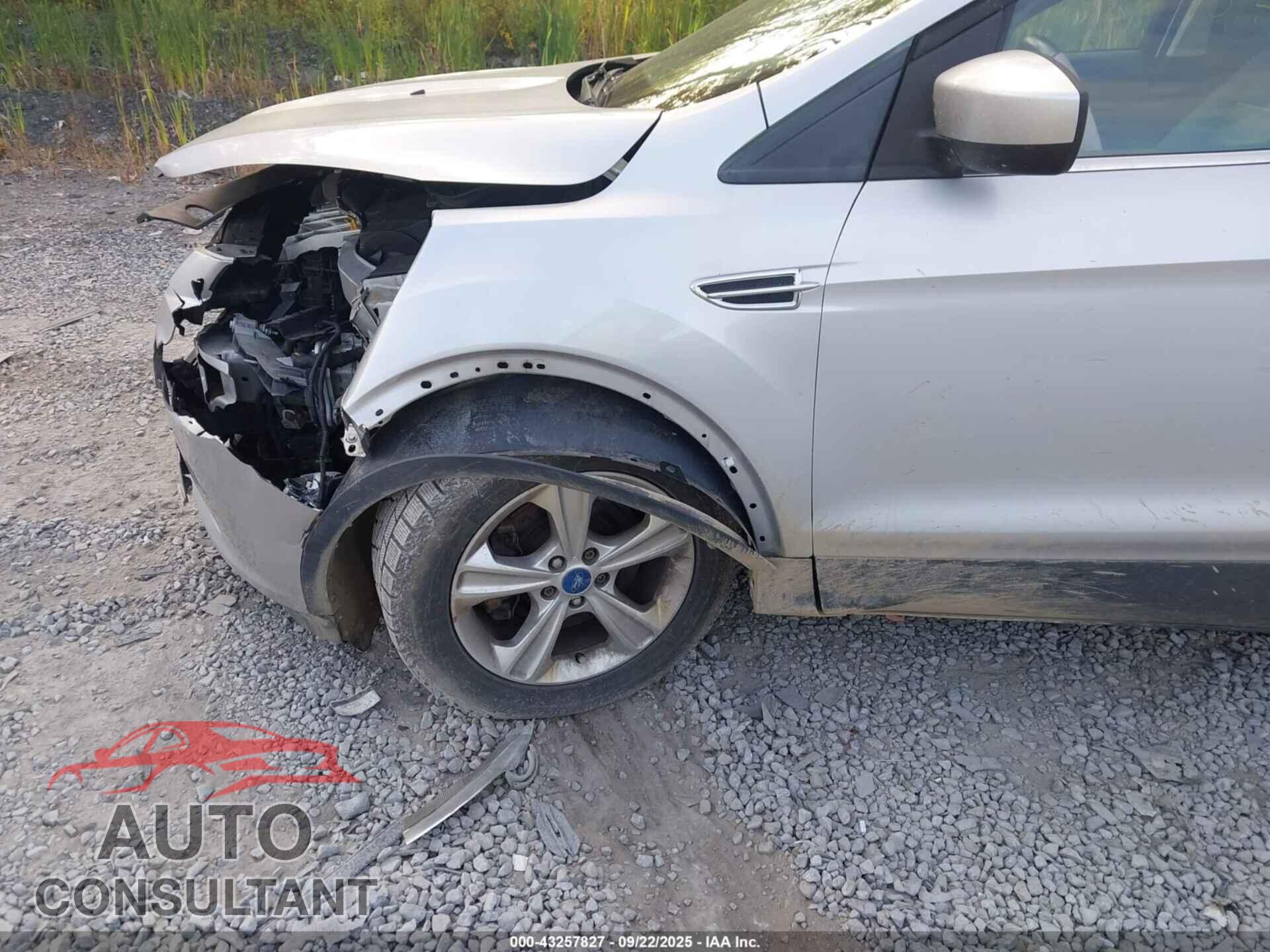 FORD ESCAPE 2013 - 1FMCU9GX2DUB69200