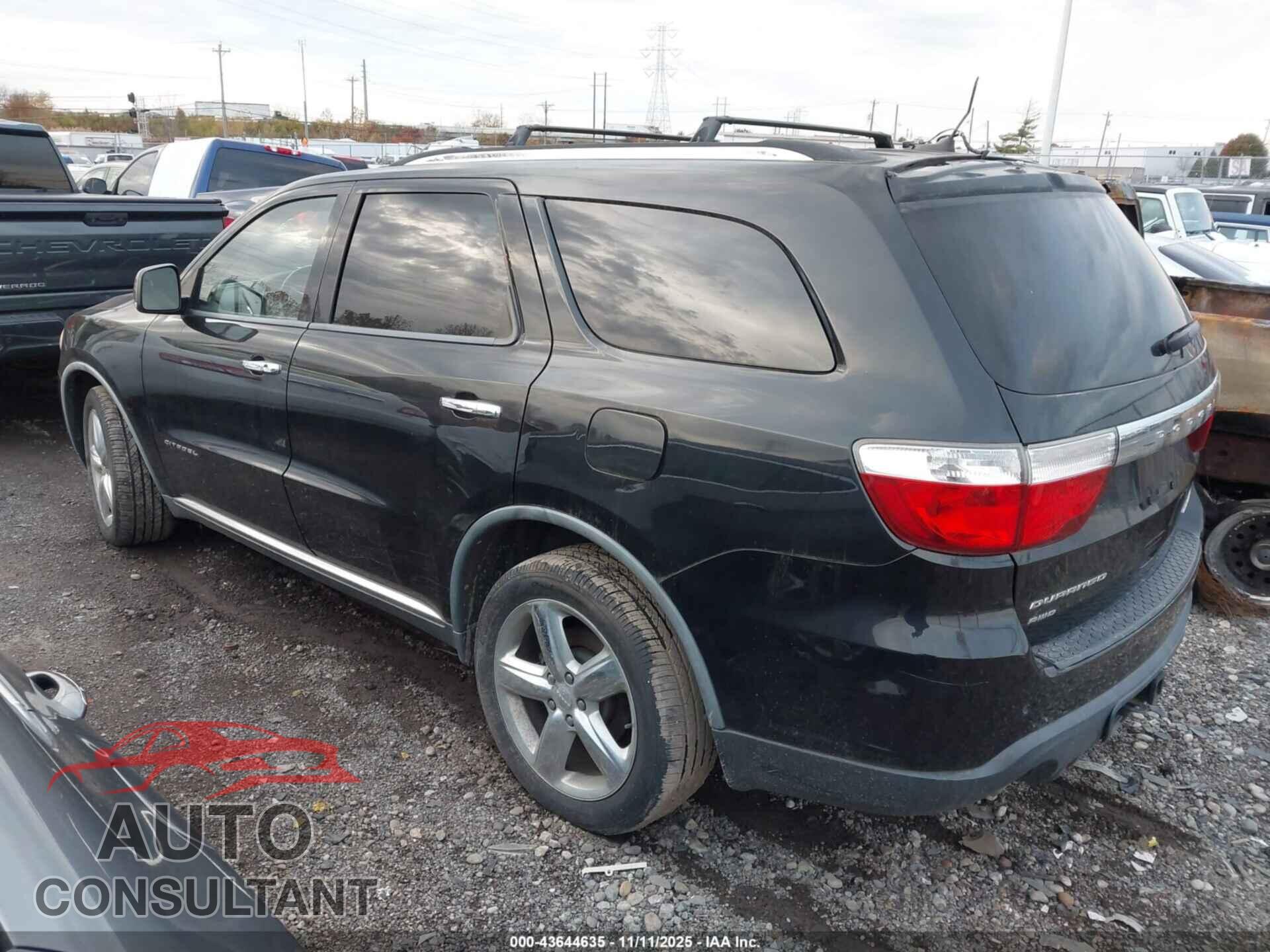 DODGE DURANGO 2011 - 1D4SE5GT8BC695520