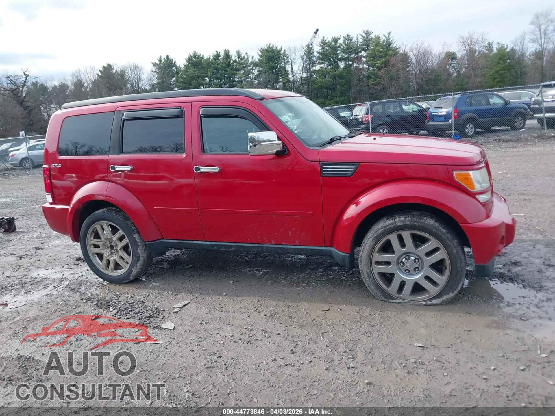 DODGE NITRO 2011 - 1D4PU4GK3BW598282