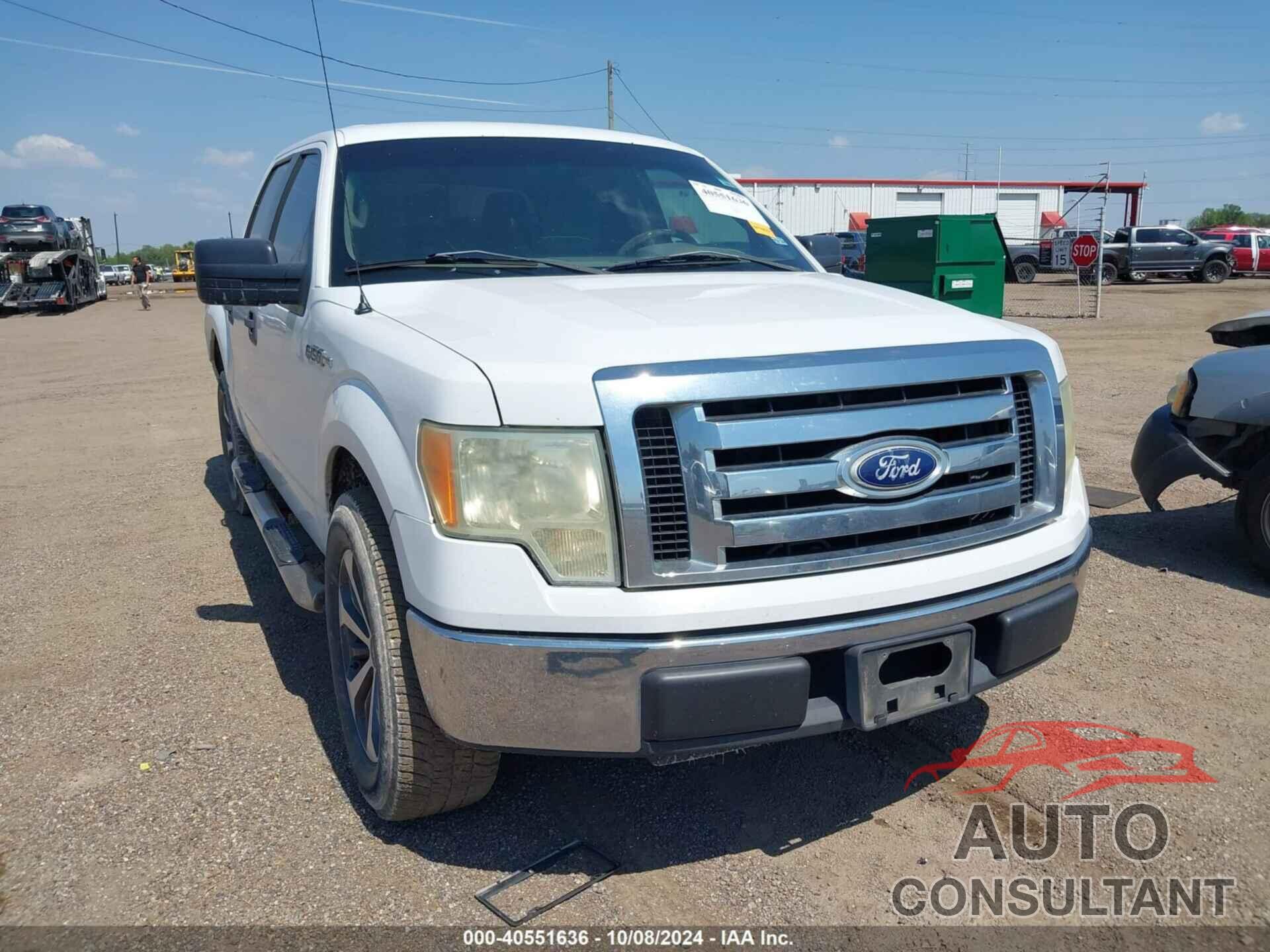 FORD F-150 2010 - 1FTEW1C8XAFC04024