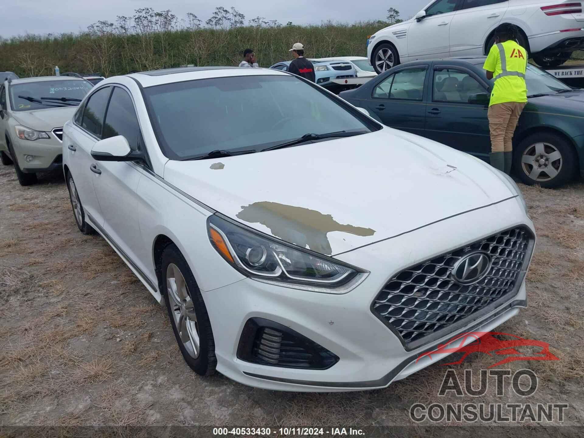 HYUNDAI SONATA 2019 - 5NPE34AF4KH787290