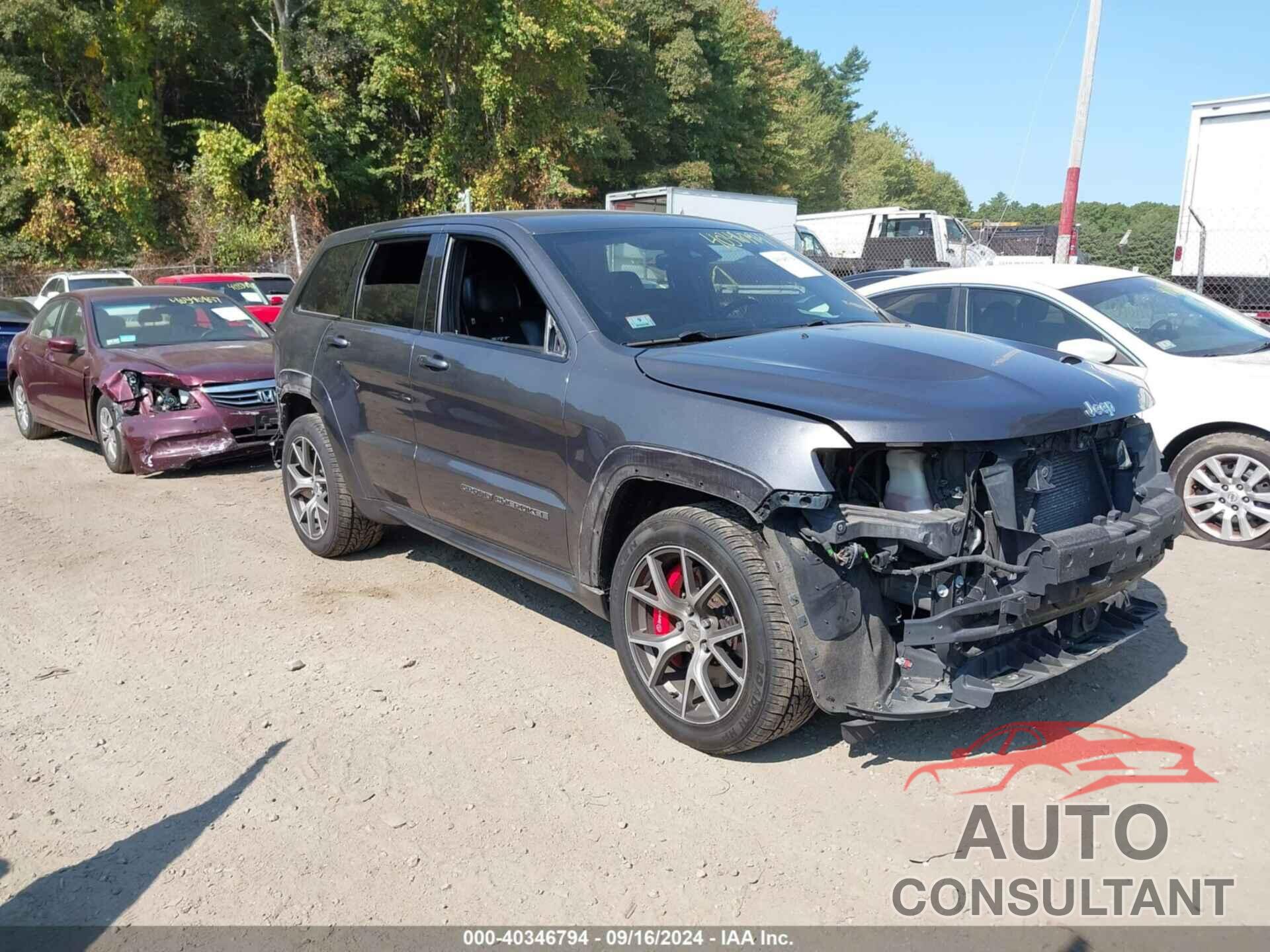 JEEP GRAND CHEROKEE 2017 - 1C4RJFDJ1HC738684