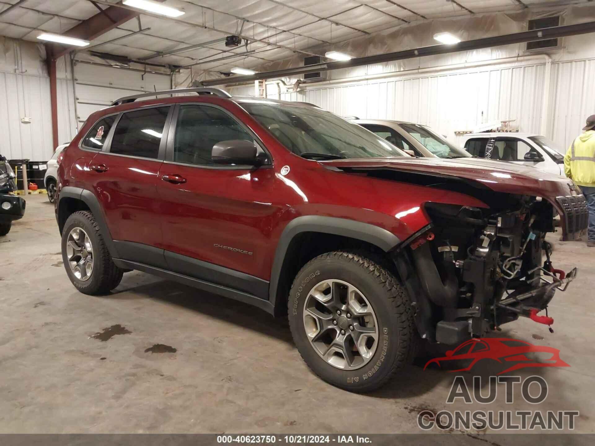 JEEP CHEROKEE 2019 - 1C4PJMBX2KD268377
