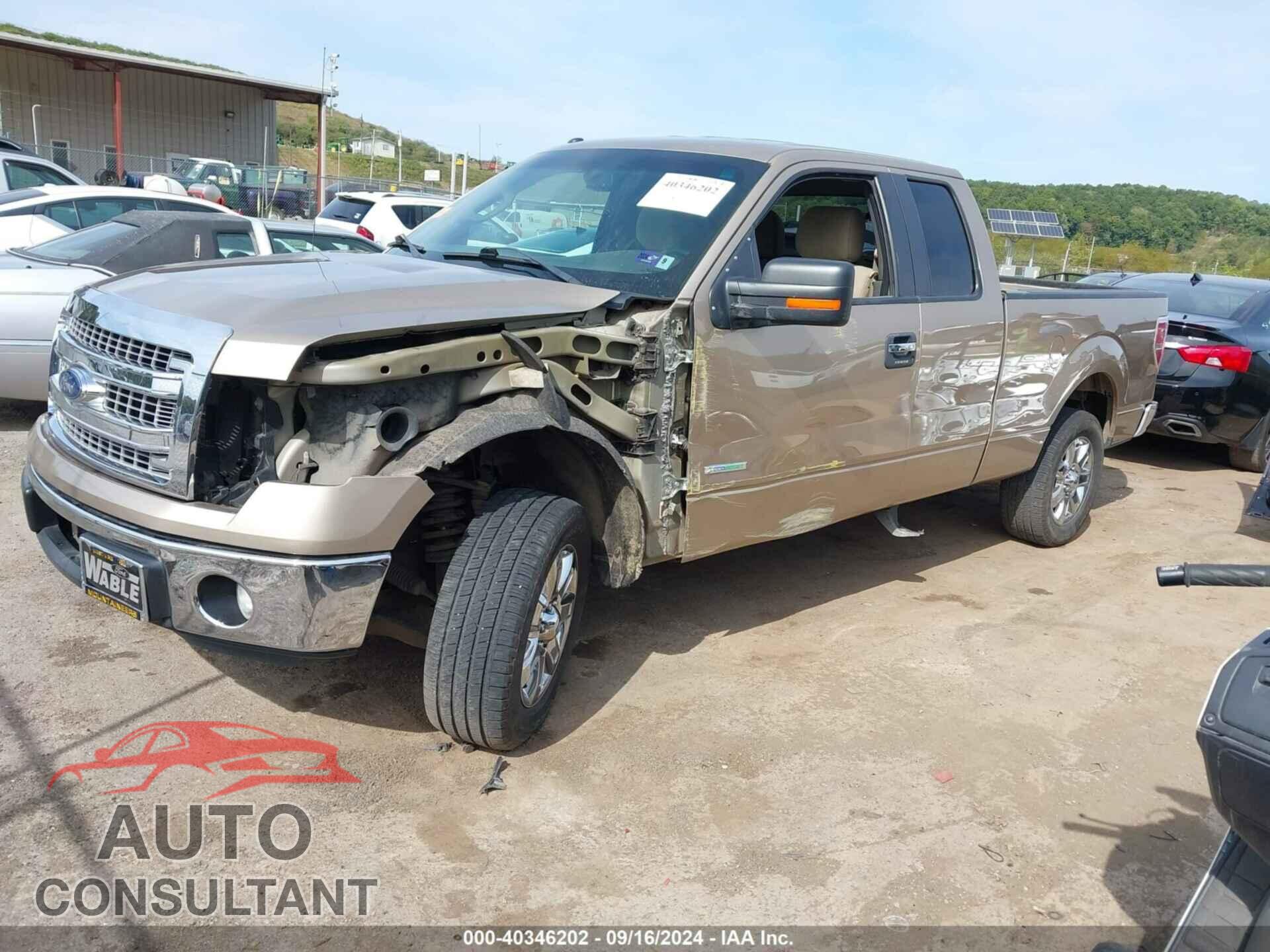 FORD F-150 2013 - 1FTFX1CTXDFD46920