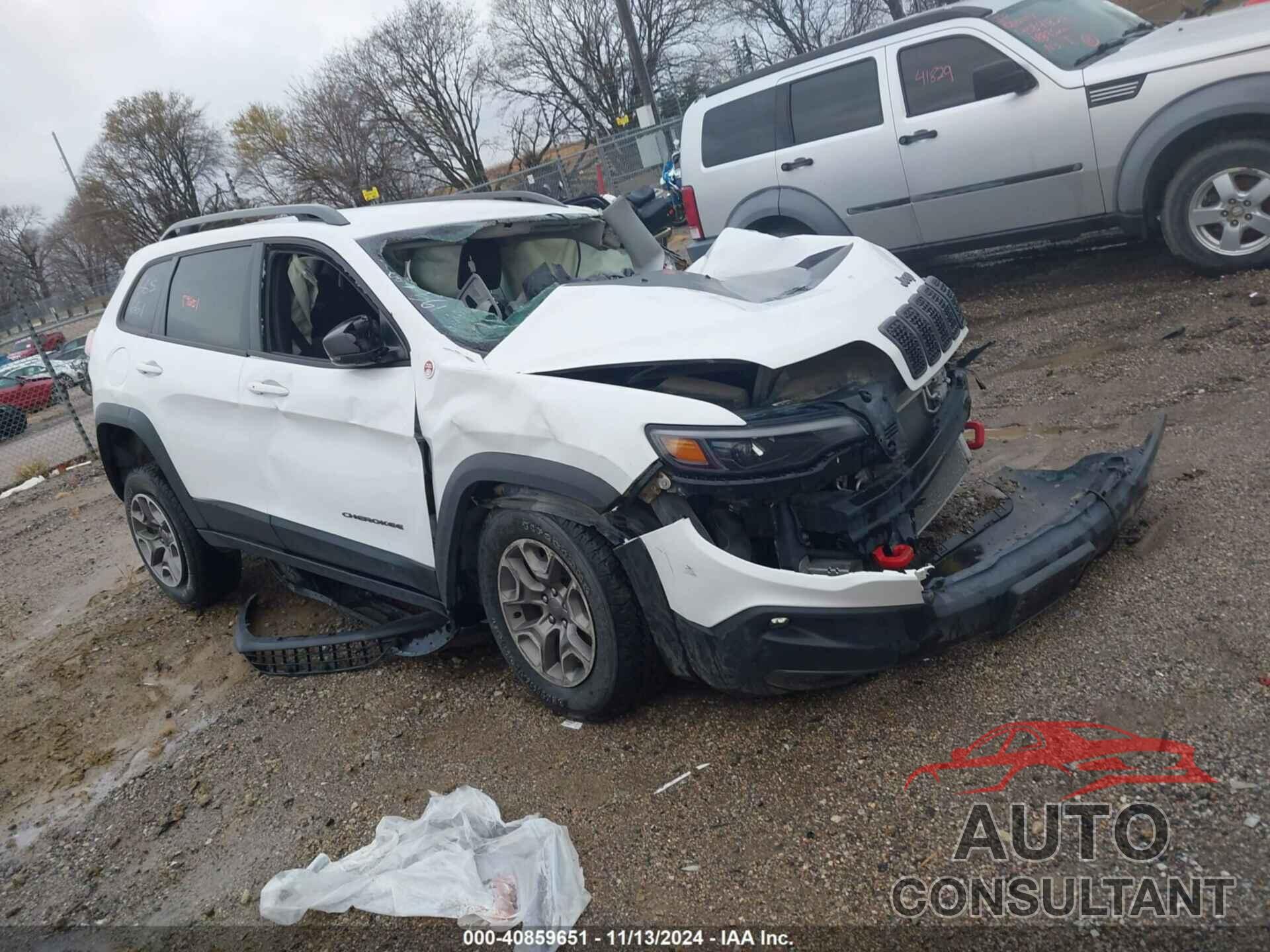 JEEP CHEROKEE 2020 - 1C4PJMBX6LD562639