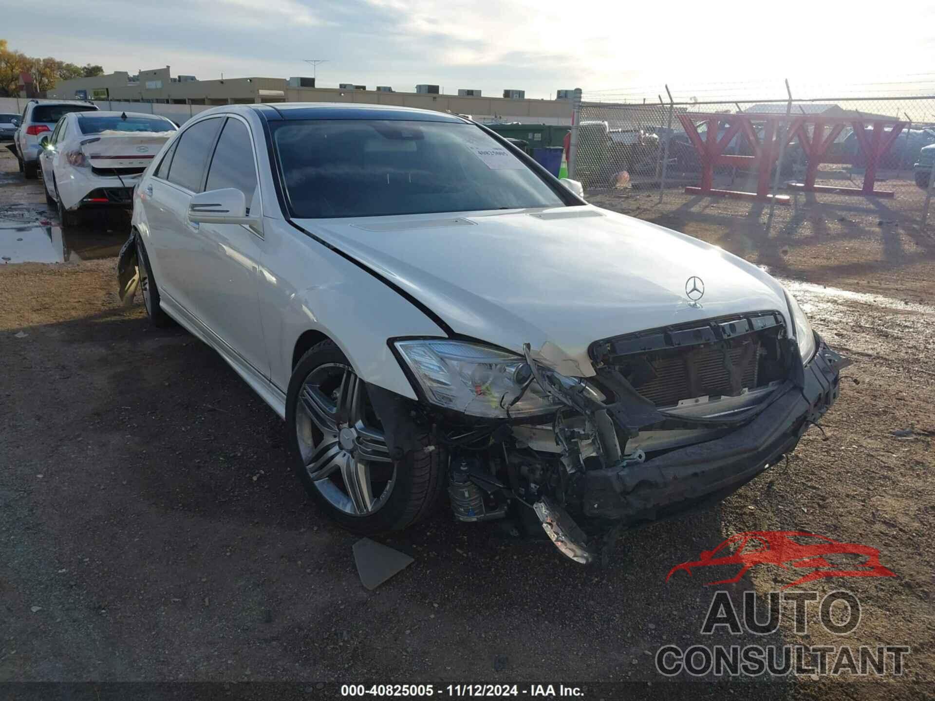 MERCEDES-BENZ S 550 2013 - WDDNG7DB9DA537431