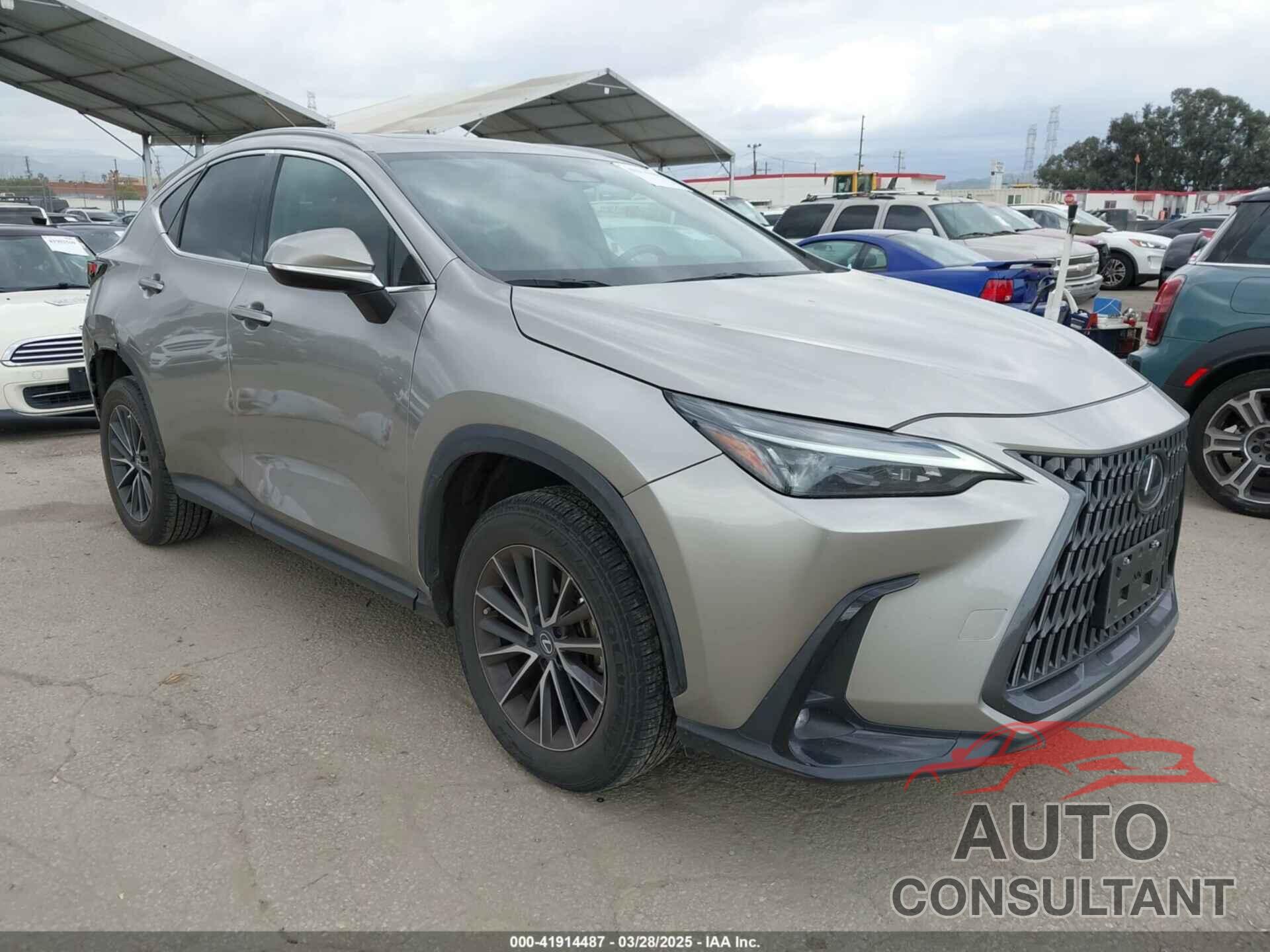 LEXUS NX 350 2024 - 2T2AGCEZ0RC035533