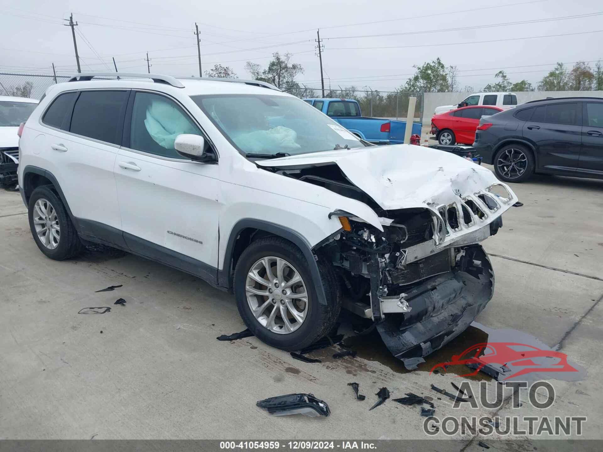 JEEP CHEROKEE 2019 - 1C4PJLCB3KD149637