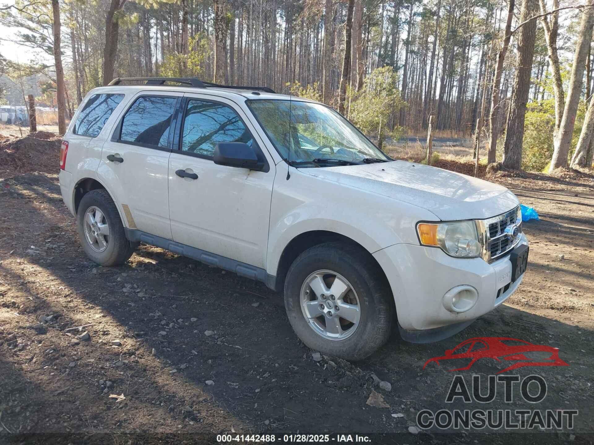 FORD ESCAPE 2011 - 1FMCU9DG2BKB28403