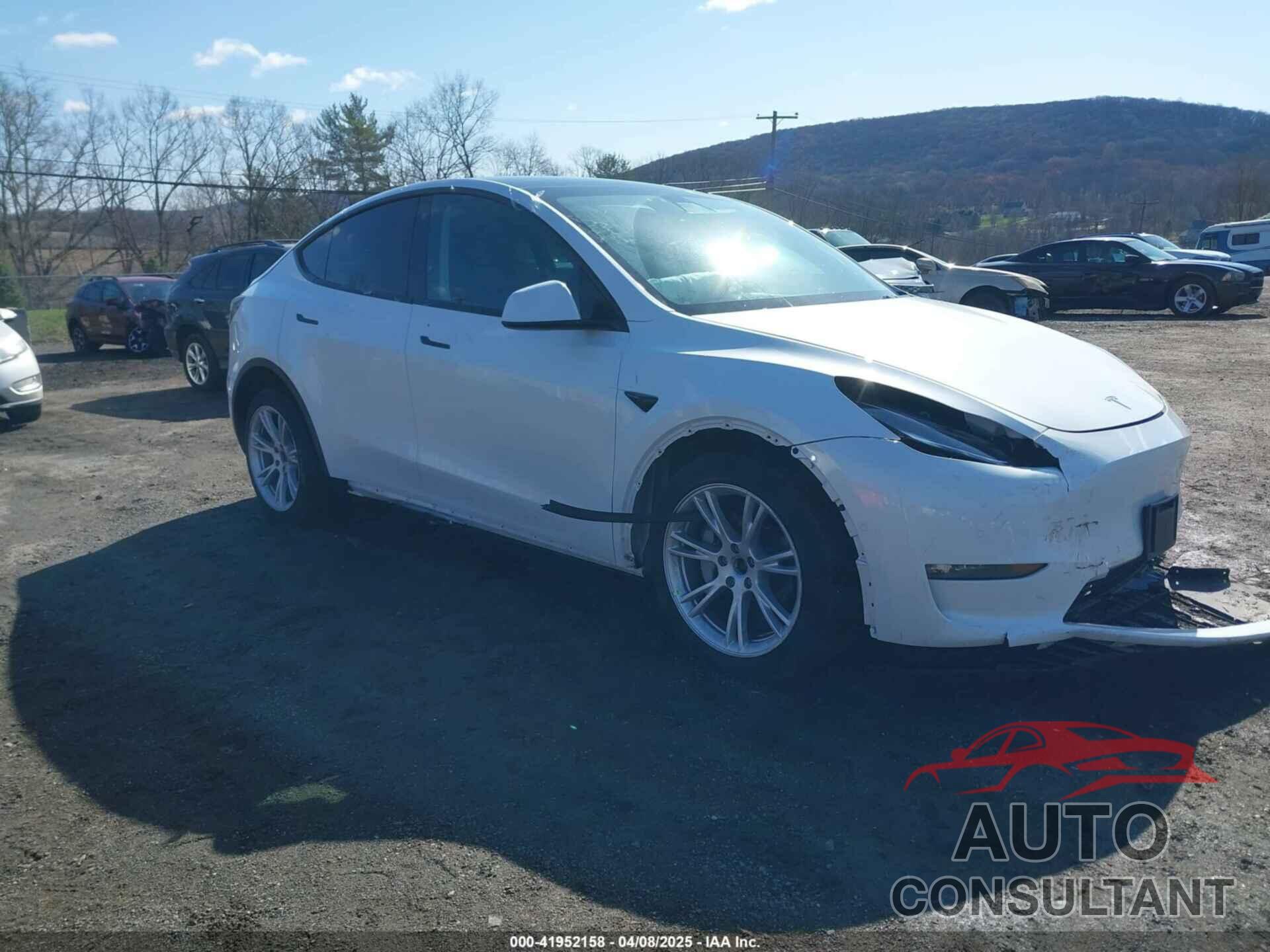 TESLA MODEL Y 2021 - 5YJYGDEE9MF239726