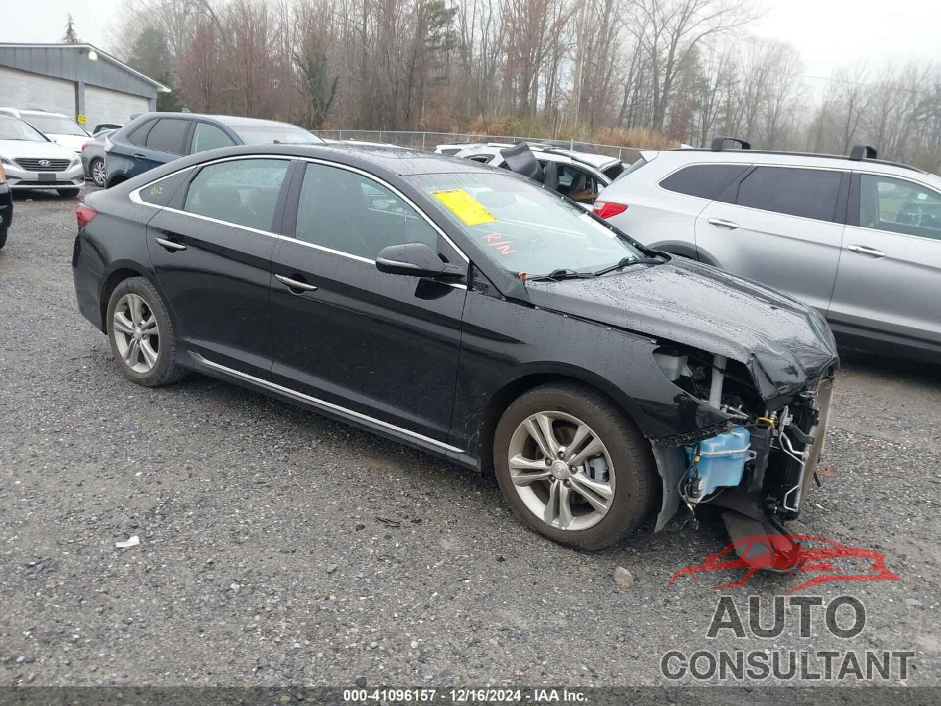 HYUNDAI SONATA 2019 - 5NPE34AF4KH786477