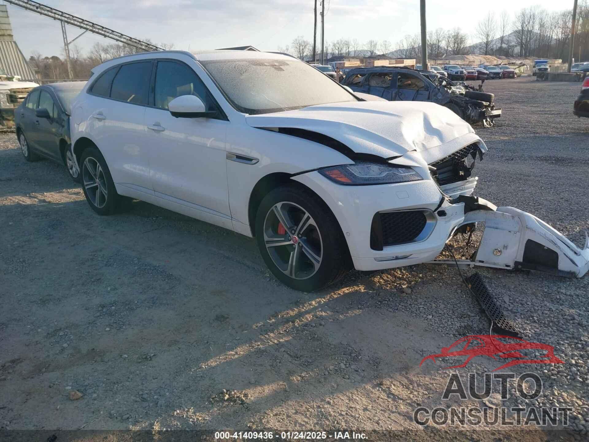 JAGUAR F-PACE 2019 - SADCM2FV2KA398507
