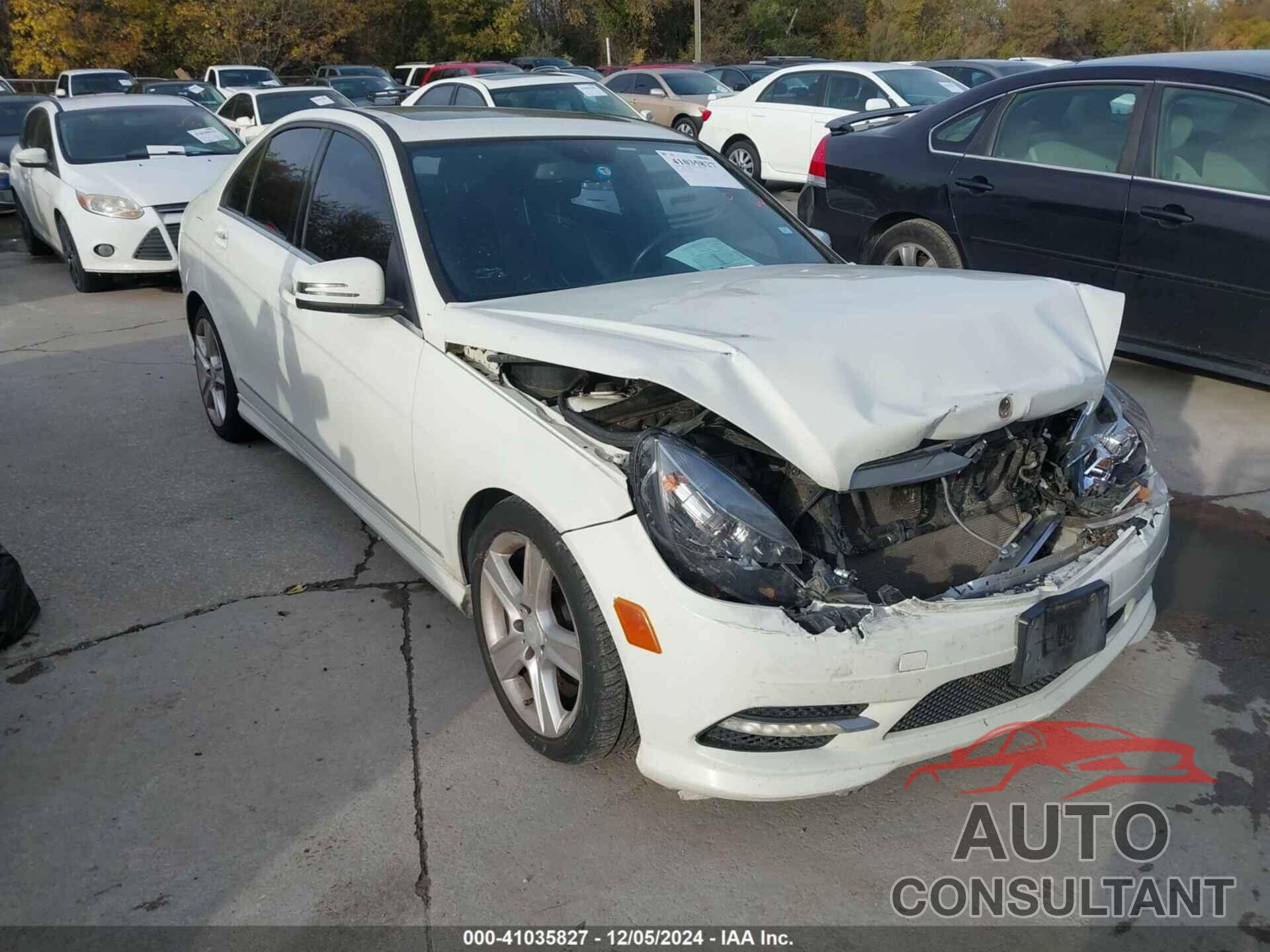 MERCEDES-BENZ C 300 2011 - WDDGF5EB1BR134640