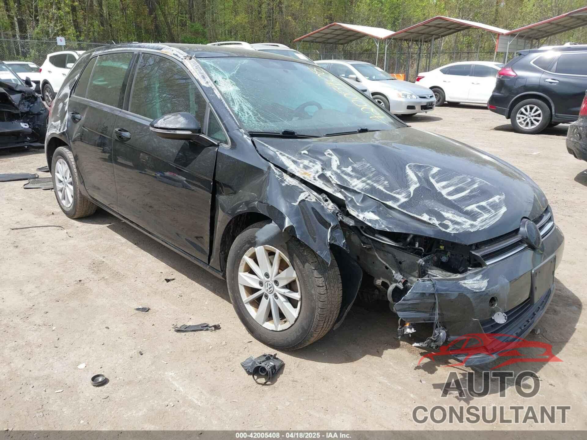VOLKSWAGEN GOLF 2016 - 3VW217AU9GM057382