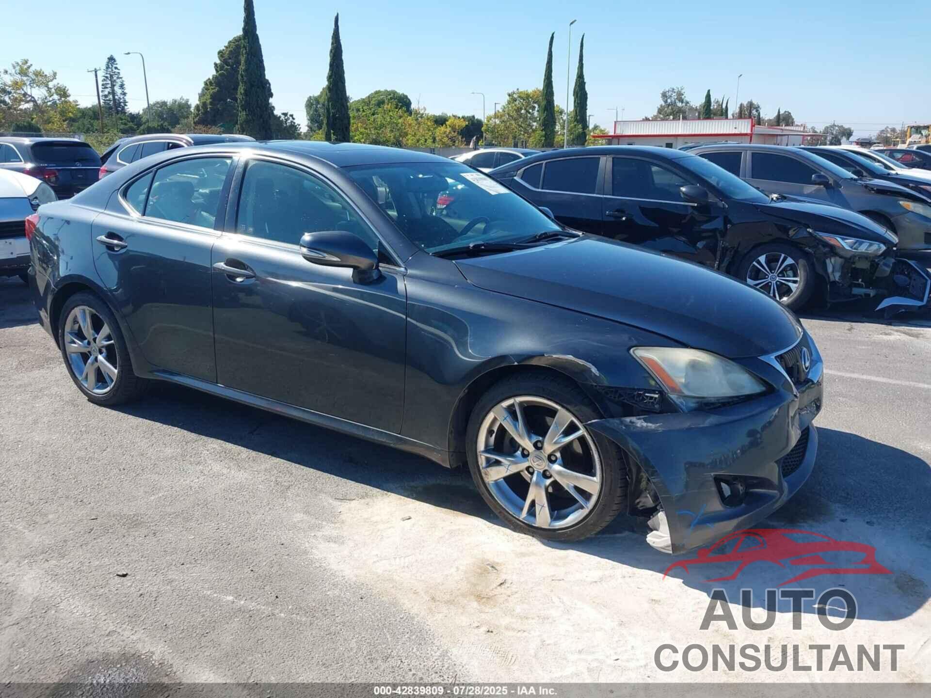 LEXUS IS 250 2009 - JTHBK262392093023