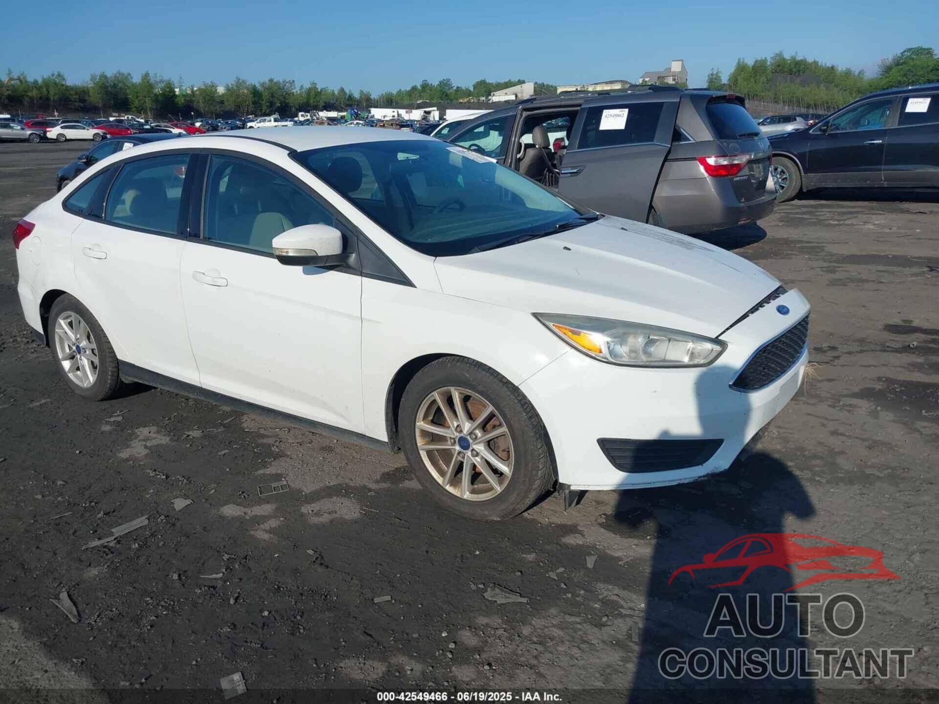 FORD FOCUS 2016 - 1FADP3F22GL231049