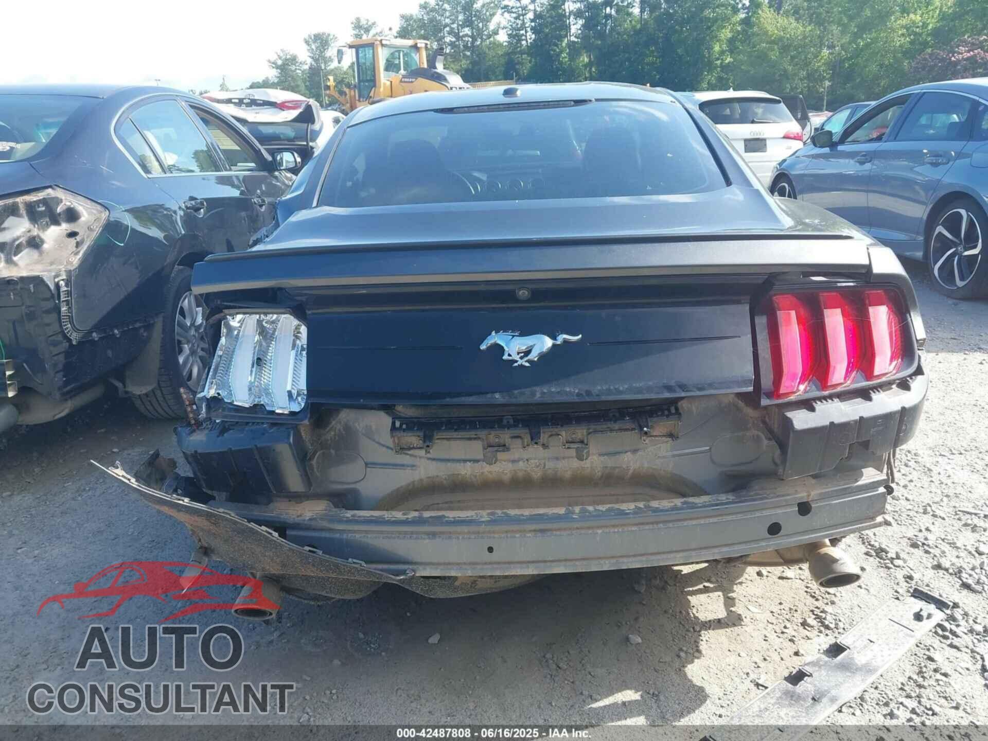 FORD MUSTANG 2019 - 1FA6P8TH5K5116389