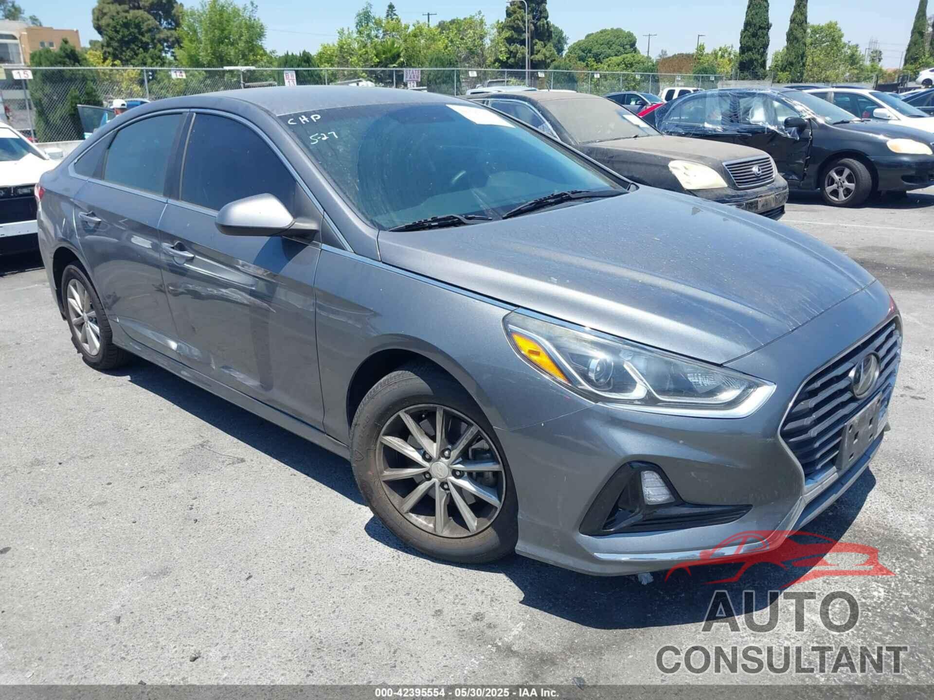 HYUNDAI SONATA 2019 - 5NPE24AF3KH805359
