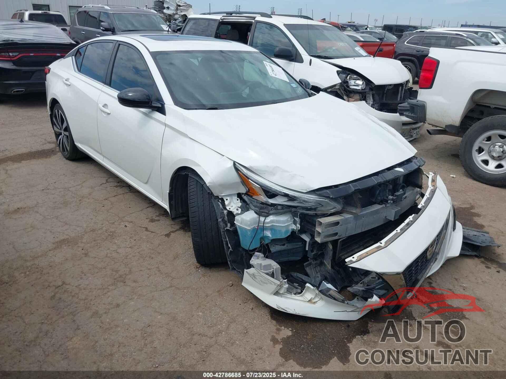NISSAN ALTIMA 2019 - 1N4BL4CV6KN316500