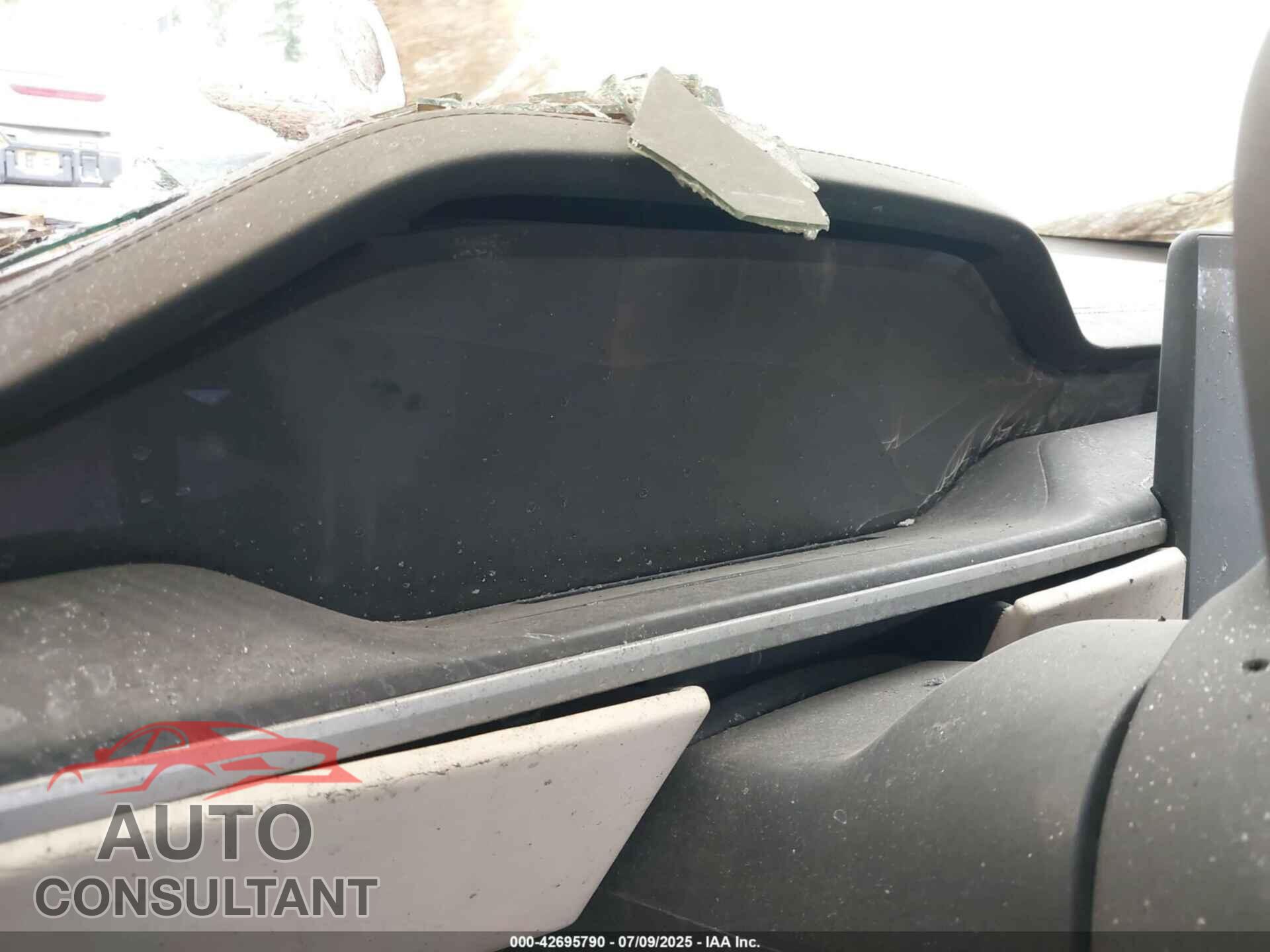 TESLA MODEL S 2024 - 5YJSA1E64RF542130