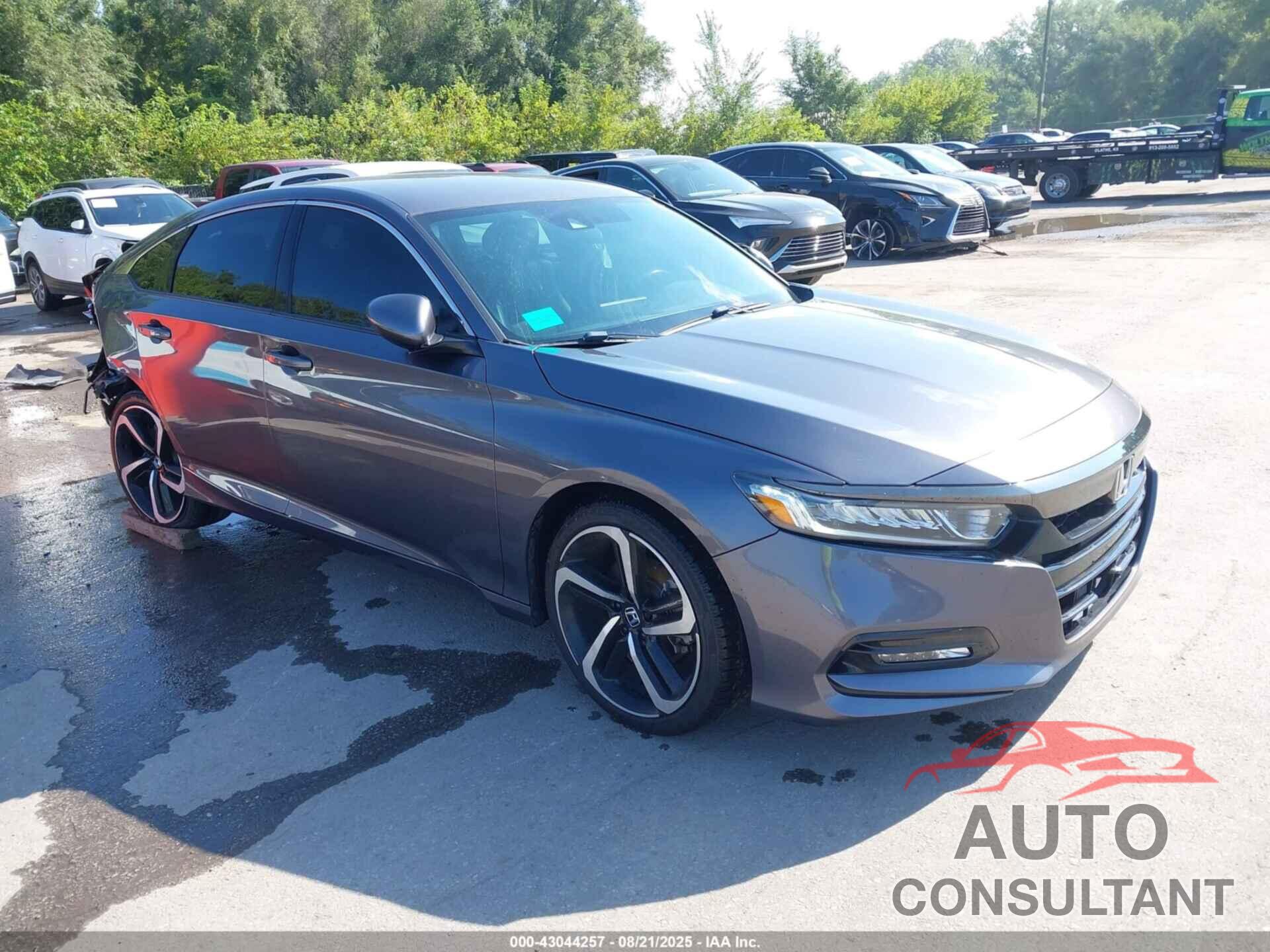 HONDA ACCORD 2019 - 1HGCV1F3XKA036072