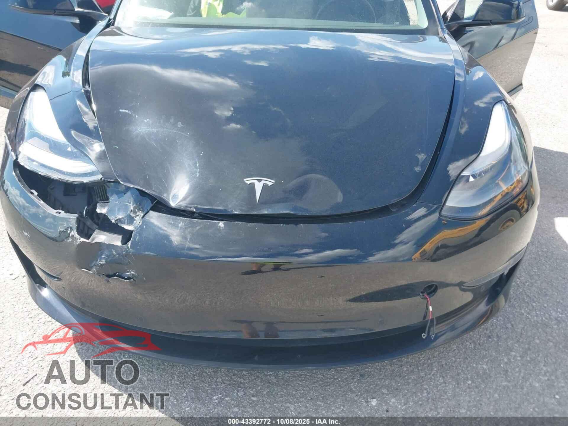TESLA MODEL 3 2021 - 5YJ3E1EB3MF092467