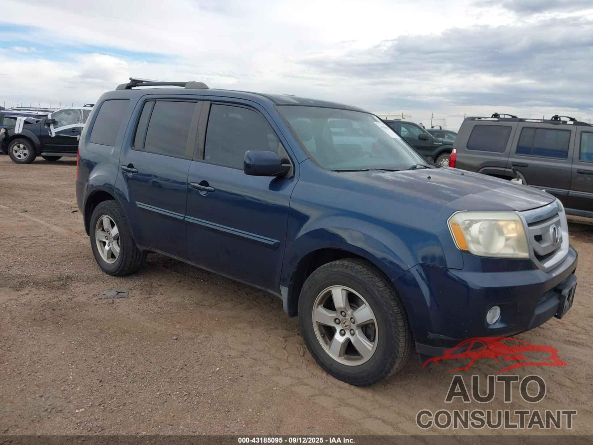 HONDA PILOT 2009 - 5FNYF48459B043439