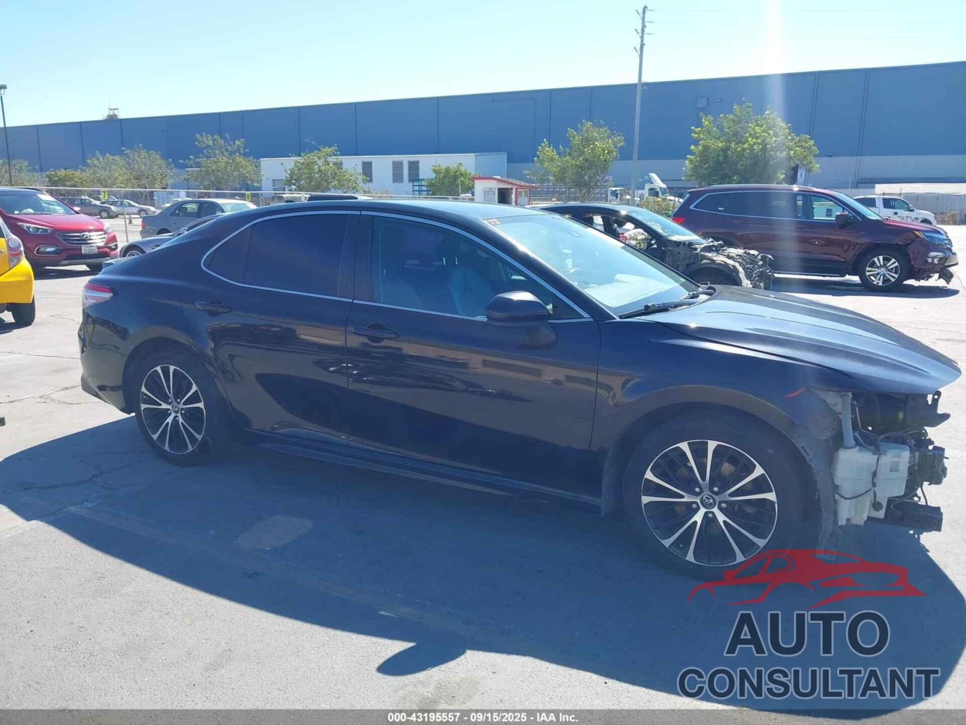 TOYOTA CAMRY 2019 - 4T1B11HK0KU701503