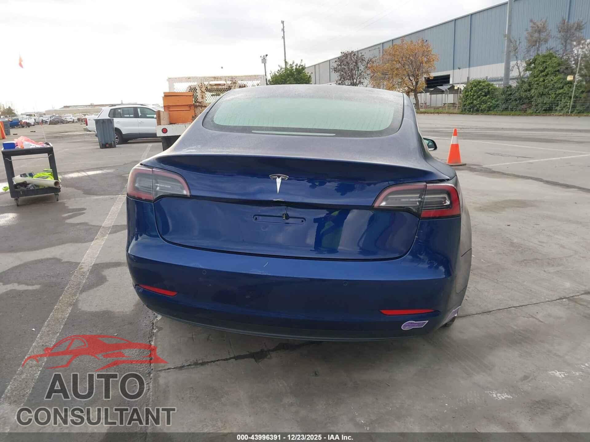 TESLA MODEL 3 2019 - 5YJ3E1EA2KF299534