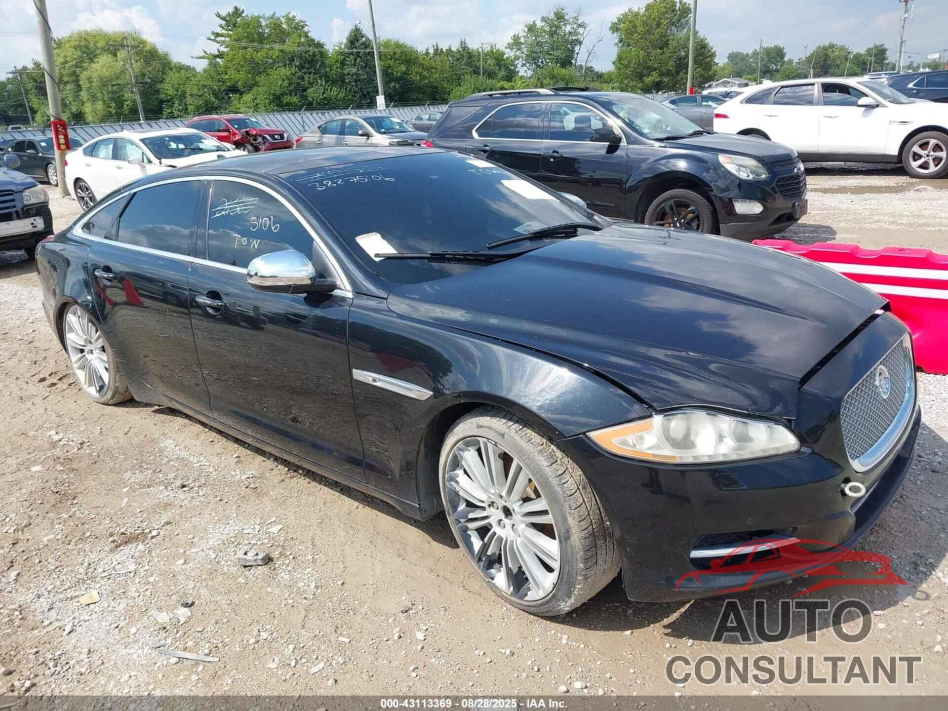 JAGUAR XJ 2013 - SAJWJ2GD8D8V47764