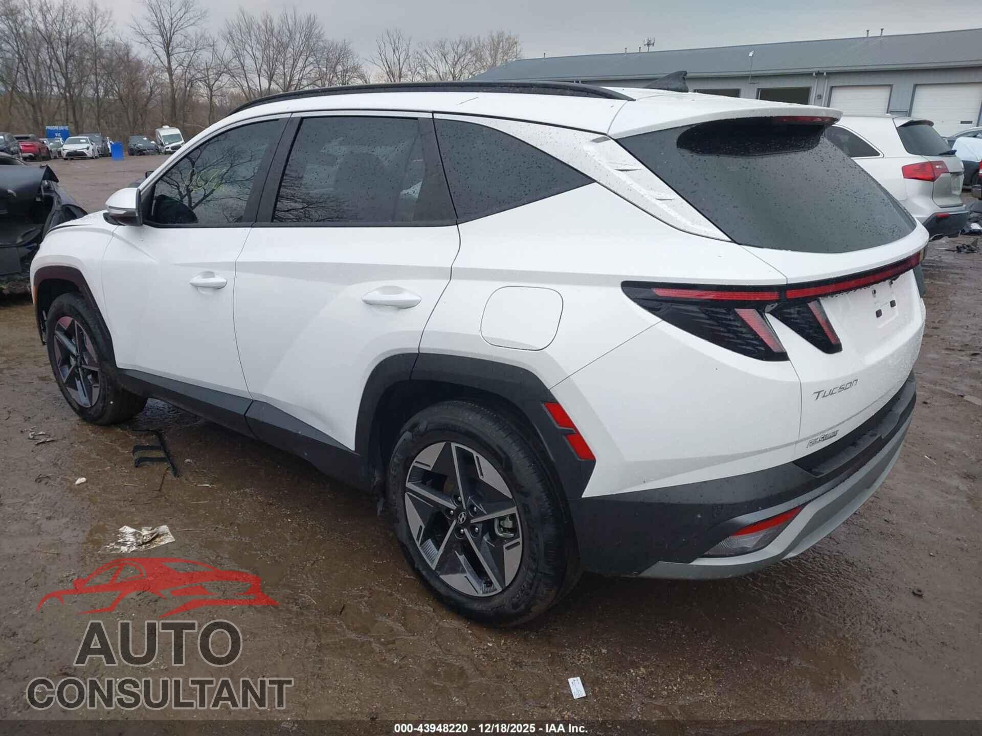 HYUNDAI TUCSON 2025 - 3KMJCCDE9SE007796