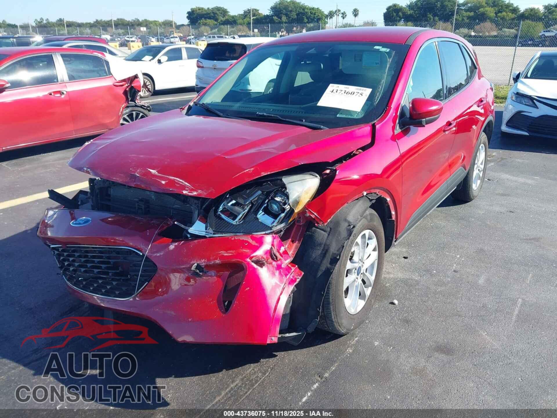 FORD ESCAPE 2020 - 1FMCU9G67LUA45977