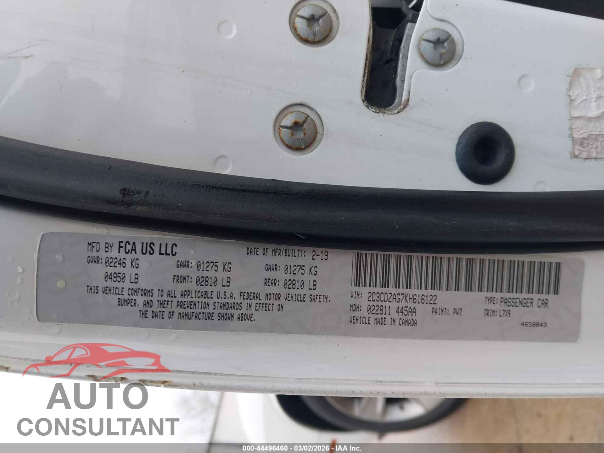 DODGE CHALLENGER 2019 - 2C3CDZAG7KH616122