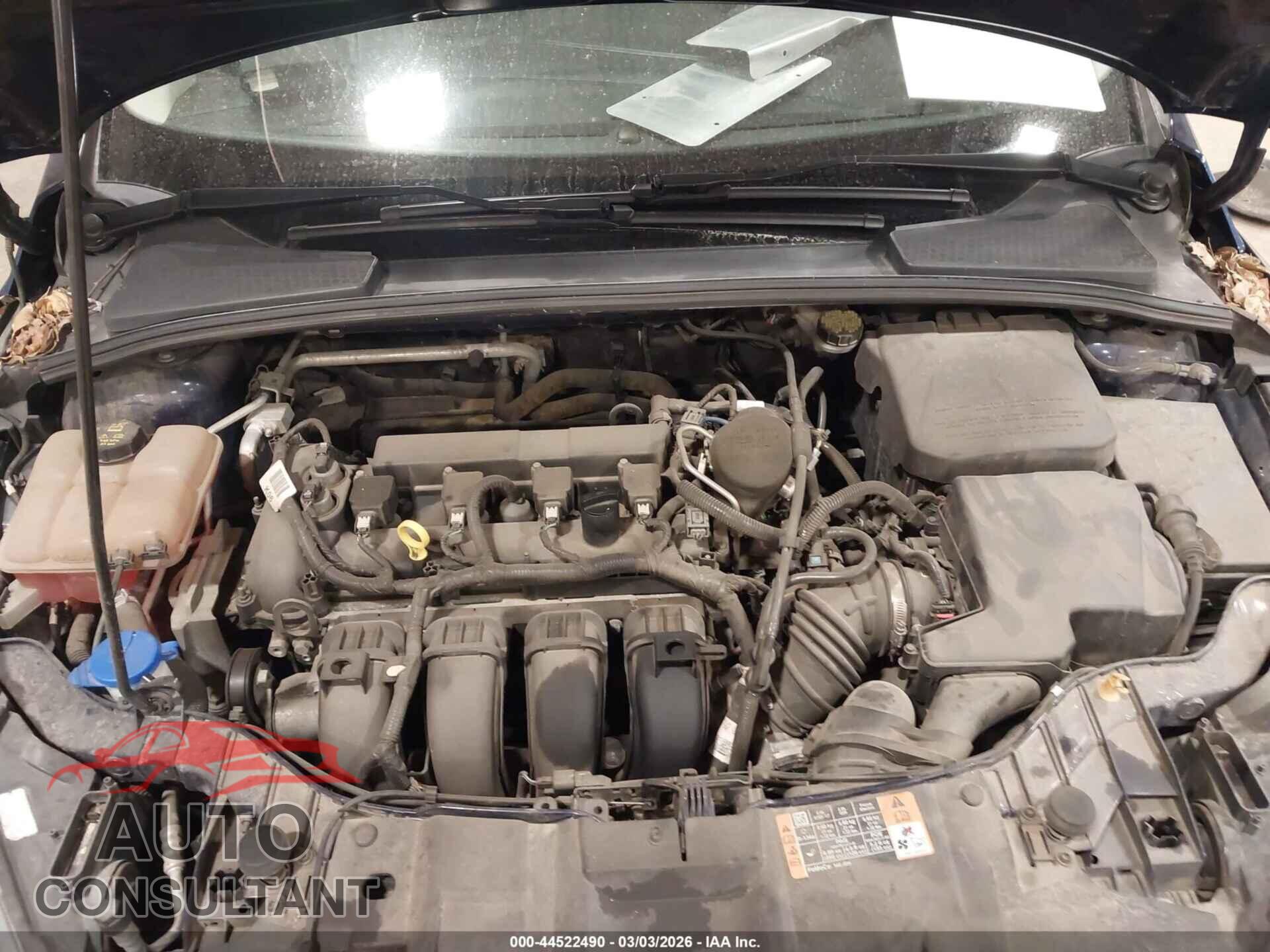FORD FOCUS 2016 - 1FADP3F28GL203188