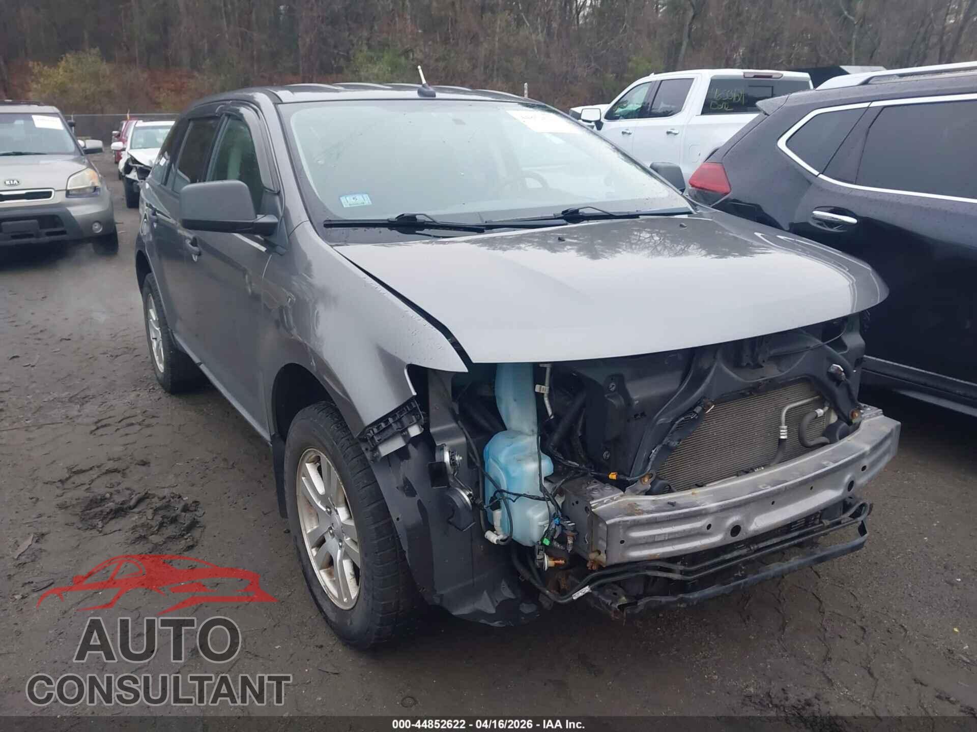 FORD EDGE 2009 - 2FMDK36C39BA65351