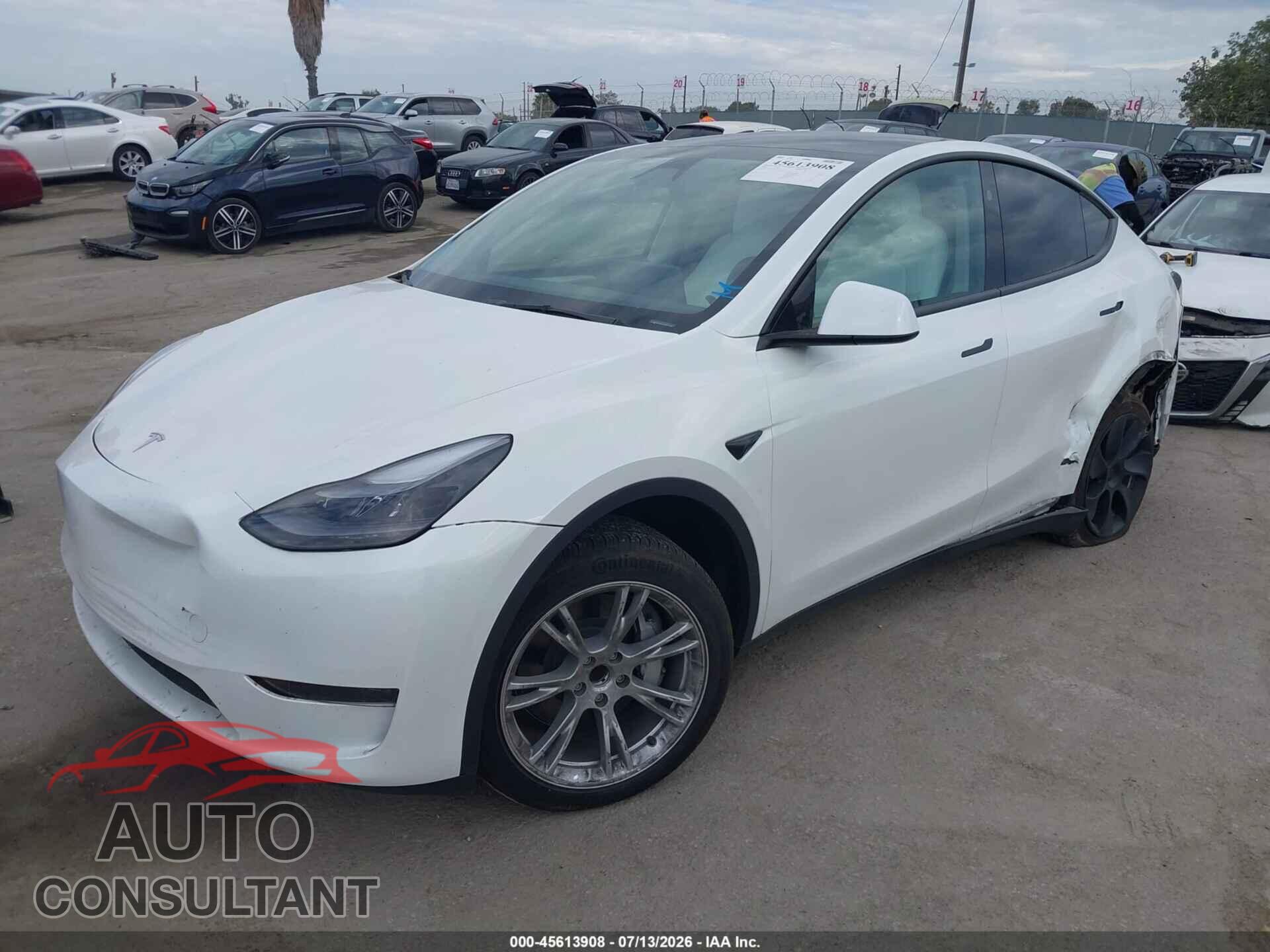 TESLA MODEL Y 2024 - 7SAYGDED1RF011396